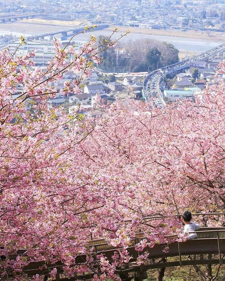 Shangri-La Hotel, Tokyoのグルメインスタ