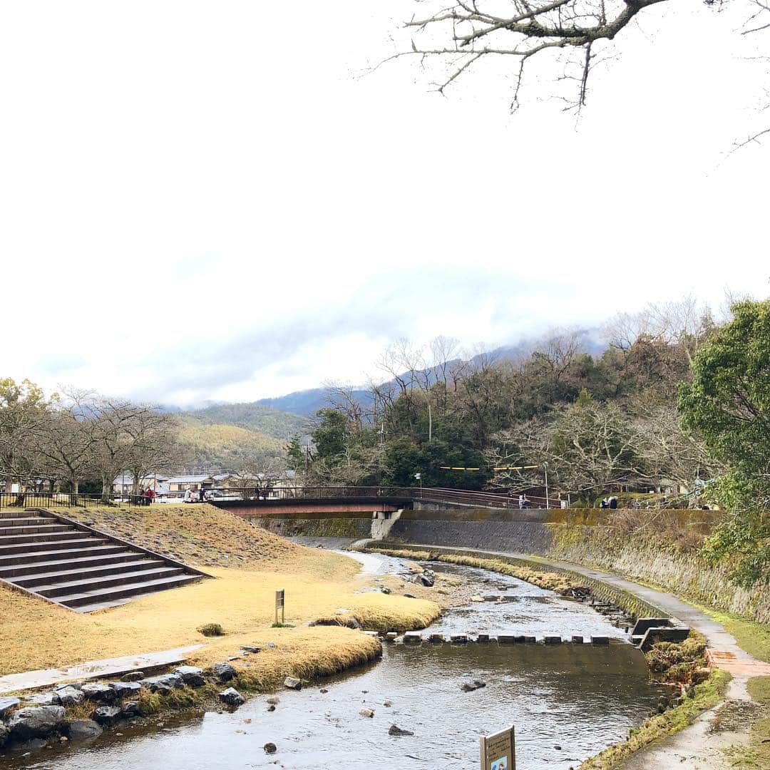 CHIPPRUSONのインスタグラム：「宝ヶ池公園」