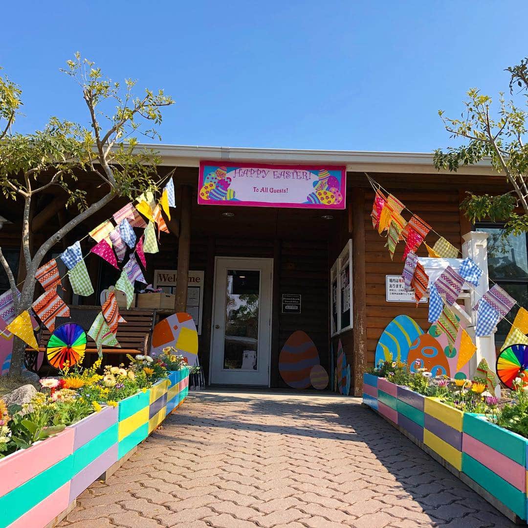 伊勢志摩エバーグレイズのグルメインスタ