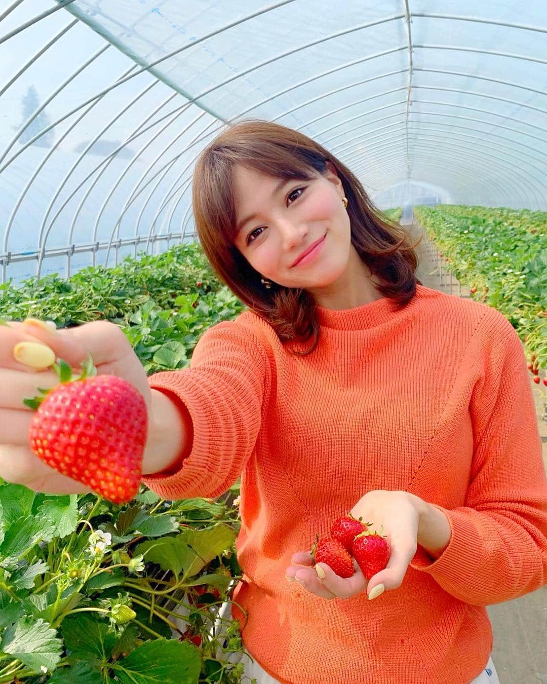 石井里奈さんのインスタグラム写真 - (石井里奈Instagram)「こんにちは🤗💕✨ . 今日は栃木県の🍓もおか いちごフェスタ2019🍓に参加しにきています😍✨ . 初めてのいちご狩り🍓採れたてのいちご最高に美味しかった〜😂🥰💕 . 来年の全国いちごサミットinもおかのプレイベントだったんだけどすごい人😍 . 大変賑わっております🤗💕💕 . さすが日本一のいちごの生産地真岡市😍 かわいいお土産もGet🥰（10枚目） 前に栃木きた時に買ってリピート🌸可愛いし、お土産にも最適なの😍🍓 . 今日のコーデは、昨日グランドオープンした錦糸町PARCOの @fabulousangela_official で購入したセットアップ🥰鮮やかなオレンジニットと花柄スカートのセット😍✨春ですなぁ〜💕✨ . ノベルティーでバッグも、もらえたよん😍お得感✨清楚可愛い洋服多くて通勤でも使いやすいからよくチェックしてるのだ🌸🌸 . また更新するね💕✨ . #もおかいちごフェスタ #全国いちごサミットinもおか2020 #いちごはひとつ #fabulousangela #ファビュラス #ファビュラスアンジェラ #錦糸町パルコ #栃木 #いちご #いちご狩り #苺 #strawberry #fruit #インスタ映え #彼女とデートなうに使っていいよ #休日 #春 #春コーデ #イチゴ #sweet #スイーツ #もぐもぐ女子 #りなまるグルメ #spring #happy #smile #いちごスイーツ #いちご好き」3月17日 13時16分 - ri7tin1025