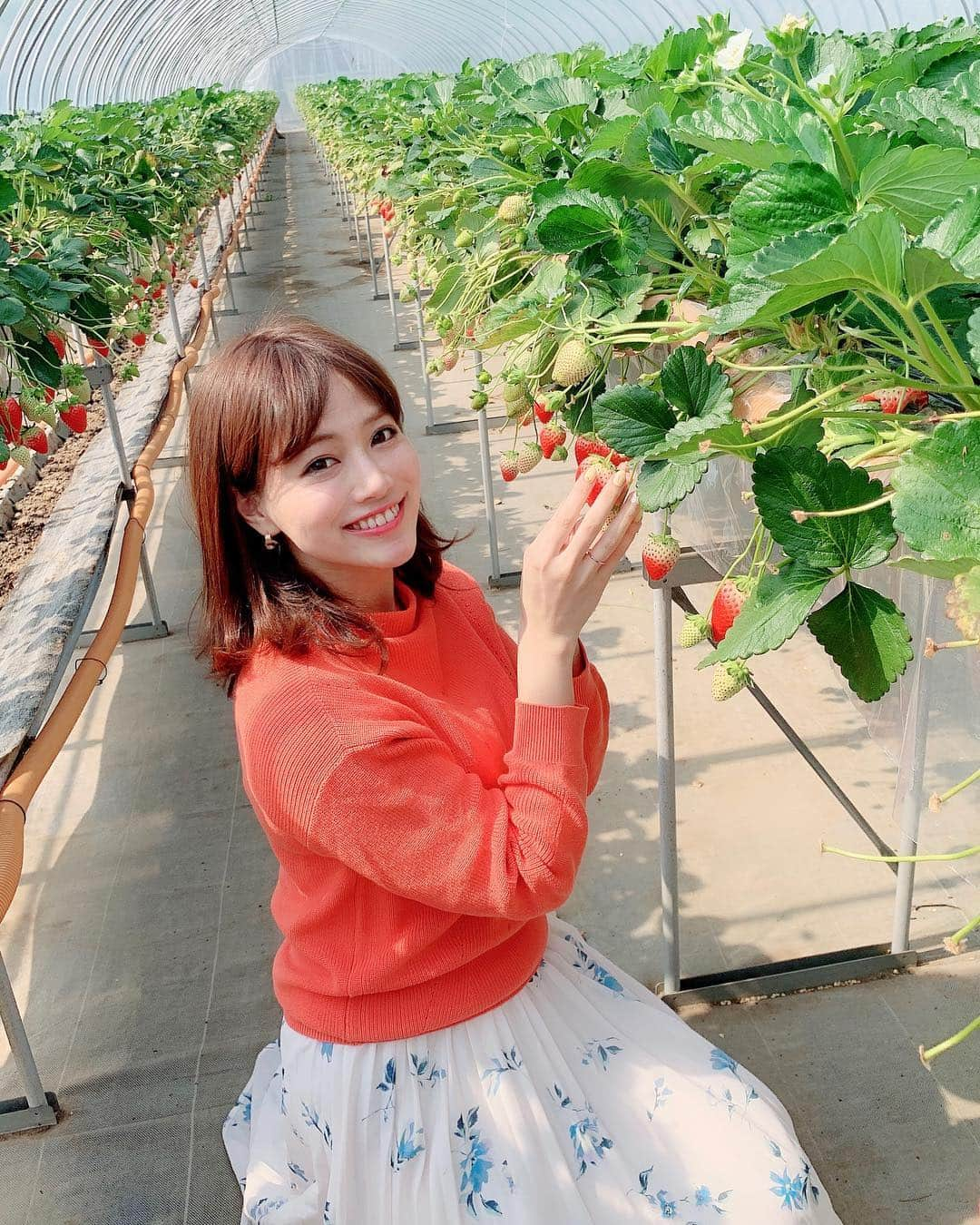 石井里奈さんのインスタグラム写真 - (石井里奈Instagram)「こんにちは🤗💕✨ . 今日は栃木県の🍓もおか いちごフェスタ2019🍓に参加しにきています😍✨ . 初めてのいちご狩り🍓採れたてのいちご最高に美味しかった〜😂🥰💕 . 来年の全国いちごサミットinもおかのプレイベントだったんだけどすごい人😍 . 大変賑わっております🤗💕💕 . さすが日本一のいちごの生産地真岡市😍 かわいいお土産もGet🥰（10枚目） 前に栃木きた時に買ってリピート🌸可愛いし、お土産にも最適なの😍🍓 . 今日のコーデは、昨日グランドオープンした錦糸町PARCOの @fabulousangela_official で購入したセットアップ🥰鮮やかなオレンジニットと花柄スカートのセット😍✨春ですなぁ〜💕✨ . ノベルティーでバッグも、もらえたよん😍お得感✨清楚可愛い洋服多くて通勤でも使いやすいからよくチェックしてるのだ🌸🌸 . また更新するね💕✨ . #もおかいちごフェスタ #全国いちごサミットinもおか2020 #いちごはひとつ #fabulousangela #ファビュラス #ファビュラスアンジェラ #錦糸町パルコ #栃木 #いちご #いちご狩り #苺 #strawberry #fruit #インスタ映え #彼女とデートなうに使っていいよ #休日 #春 #春コーデ #イチゴ #sweet #スイーツ #もぐもぐ女子 #りなまるグルメ #spring #happy #smile #いちごスイーツ #いちご好き」3月17日 13時16分 - ri7tin1025