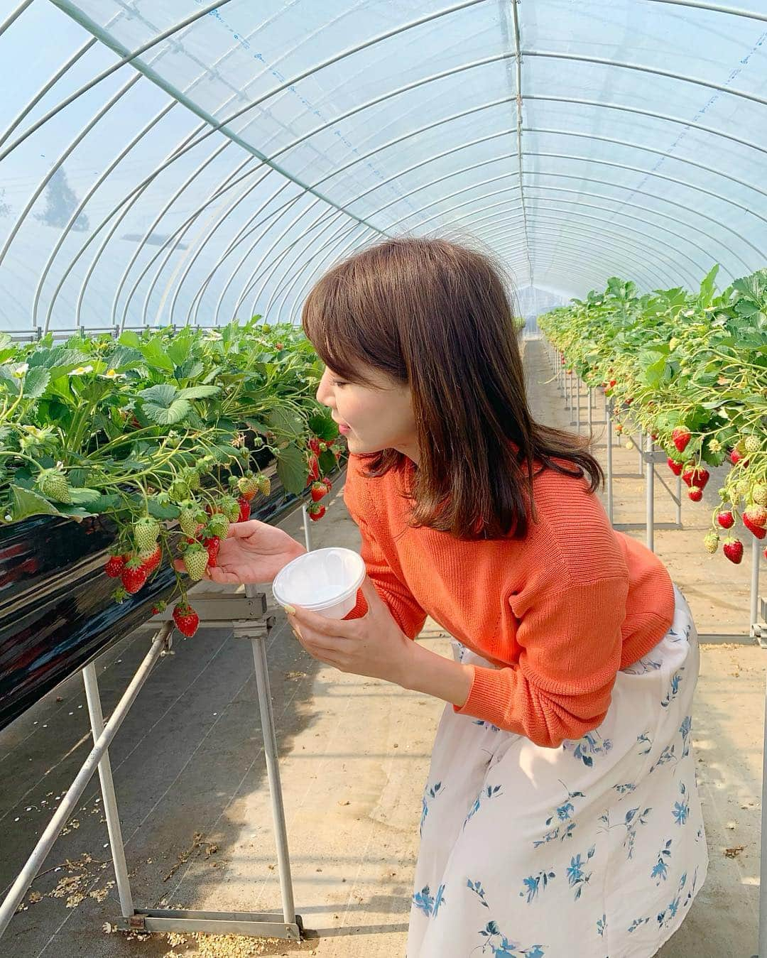 石井里奈さんのインスタグラム写真 - (石井里奈Instagram)「こんにちは🤗💕✨ . 今日は栃木県の🍓もおか いちごフェスタ2019🍓に参加しにきています😍✨ . 初めてのいちご狩り🍓採れたてのいちご最高に美味しかった〜😂🥰💕 . 来年の全国いちごサミットinもおかのプレイベントだったんだけどすごい人😍 . 大変賑わっております🤗💕💕 . さすが日本一のいちごの生産地真岡市😍 かわいいお土産もGet🥰（10枚目） 前に栃木きた時に買ってリピート🌸可愛いし、お土産にも最適なの😍🍓 . 今日のコーデは、昨日グランドオープンした錦糸町PARCOの @fabulousangela_official で購入したセットアップ🥰鮮やかなオレンジニットと花柄スカートのセット😍✨春ですなぁ〜💕✨ . ノベルティーでバッグも、もらえたよん😍お得感✨清楚可愛い洋服多くて通勤でも使いやすいからよくチェックしてるのだ🌸🌸 . また更新するね💕✨ . #もおかいちごフェスタ #全国いちごサミットinもおか2020 #いちごはひとつ #fabulousangela #ファビュラス #ファビュラスアンジェラ #錦糸町パルコ #栃木 #いちご #いちご狩り #苺 #strawberry #fruit #インスタ映え #彼女とデートなうに使っていいよ #休日 #春 #春コーデ #イチゴ #sweet #スイーツ #もぐもぐ女子 #りなまるグルメ #spring #happy #smile #いちごスイーツ #いちご好き」3月17日 13時16分 - ri7tin1025