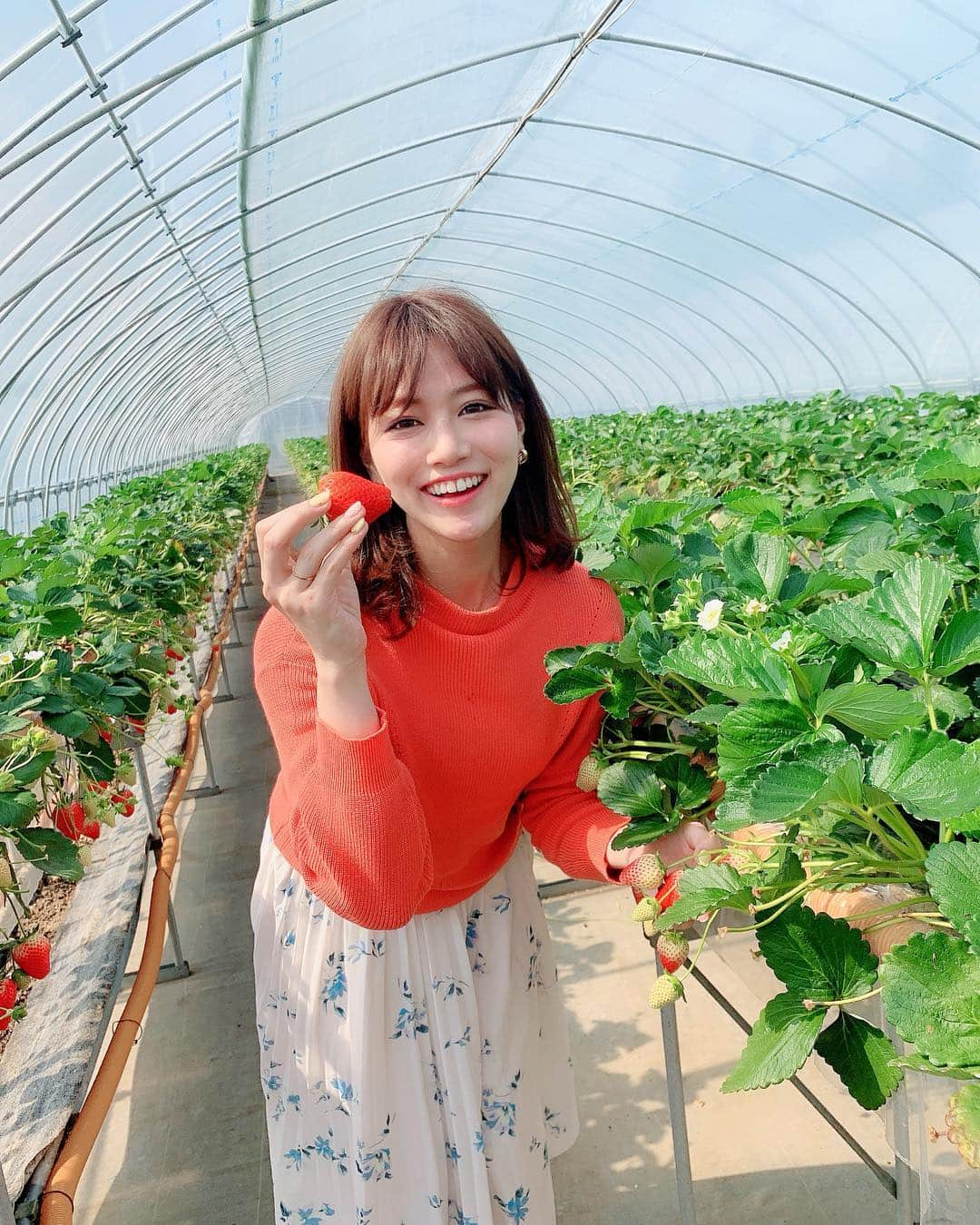 石井里奈さんのインスタグラム写真 - (石井里奈Instagram)「こんにちは🤗💕✨ . 今日は栃木県の🍓もおか いちごフェスタ2019🍓に参加しにきています😍✨ . 初めてのいちご狩り🍓採れたてのいちご最高に美味しかった〜😂🥰💕 . 来年の全国いちごサミットinもおかのプレイベントだったんだけどすごい人😍 . 大変賑わっております🤗💕💕 . さすが日本一のいちごの生産地真岡市😍 かわいいお土産もGet🥰（10枚目） 前に栃木きた時に買ってリピート🌸可愛いし、お土産にも最適なの😍🍓 . 今日のコーデは、昨日グランドオープンした錦糸町PARCOの @fabulousangela_official で購入したセットアップ🥰鮮やかなオレンジニットと花柄スカートのセット😍✨春ですなぁ〜💕✨ . ノベルティーでバッグも、もらえたよん😍お得感✨清楚可愛い洋服多くて通勤でも使いやすいからよくチェックしてるのだ🌸🌸 . また更新するね💕✨ . #もおかいちごフェスタ #全国いちごサミットinもおか2020 #いちごはひとつ #fabulousangela #ファビュラス #ファビュラスアンジェラ #錦糸町パルコ #栃木 #いちご #いちご狩り #苺 #strawberry #fruit #インスタ映え #彼女とデートなうに使っていいよ #休日 #春 #春コーデ #イチゴ #sweet #スイーツ #もぐもぐ女子 #りなまるグルメ #spring #happy #smile #いちごスイーツ #いちご好き」3月17日 13時16分 - ri7tin1025