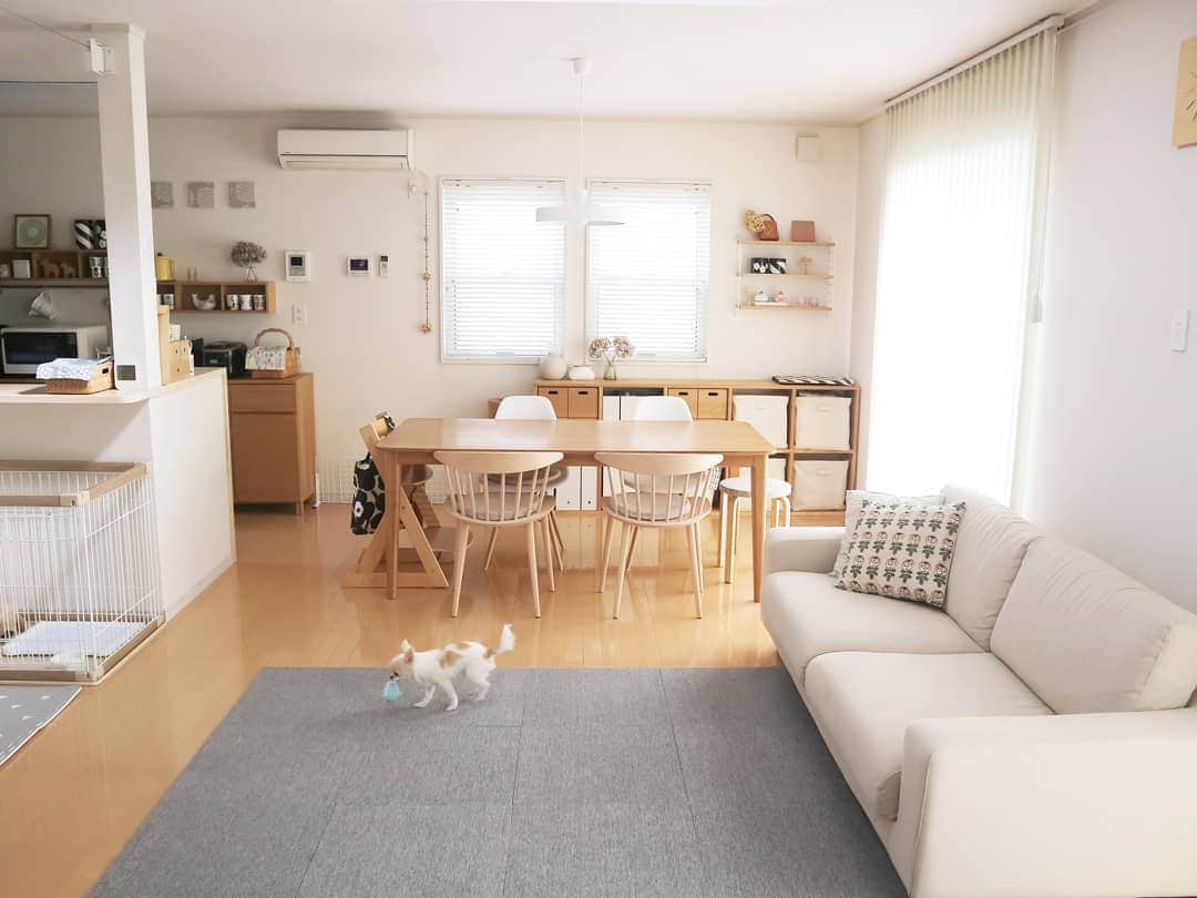のインスタグラム：「* タイルカーペット。 . . . ソファの前に、以前はジョイントマットを敷いていたのですが、ぱんちゃん(犬)が噛む噛む💦特に端っこをくわえて走り回ることもあり、危ないので撤去しました。 ジョイントマットは娘スペースの前に移動したのですが、裏をテープで貼り取れないようにしました。ぱんちゃんはあまりそちらには行かないので、今のところ大丈夫そう☺ . . タイルカーペットは、ニトリのものにしました。安くて良さそう！と思い、店舗で購入。12枚購入したのですが、本当に重かった。。😂 そして、実際に使ってみると、犬が走り回るとズレてしまうので、うちは下に滑り止めを入れました。サンゲツとかのタイルカーペットならズレないのかな？！ . でも、ぱんちゃんが気持ちよく走り回り、何より食べなくなったので一安心☺💕グレーの色味も気に入りました♡ . . . . . . . .」