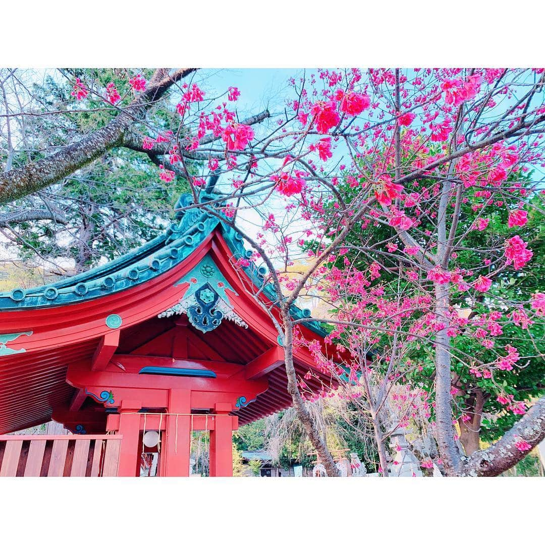 河西里音さんのインスタグラム写真 - (河西里音Instagram)「#伊豆山神社 へ⛩✨✨✨ 二人して大吉⤴︎⤴︎♡yattaaa꒡̈⃝💕 お天気も良くて 気持ち良かったなぁ🧡 ♡ ここに来ると 必ずと言っていい程 良いことが起きるんだよネぇ♪♪ みんなの幸せも願ってきましたᙏ̤̫❤︎ #熱海#おみくじ#大吉#つり吉みくじ #牛王宝印守#最強運#身体守#女子旅 #神社女子#晴天#sunnyday#happy #smile#friend#みんなにも幸あれ#🌸」3月17日 14時48分 - rion_kasai