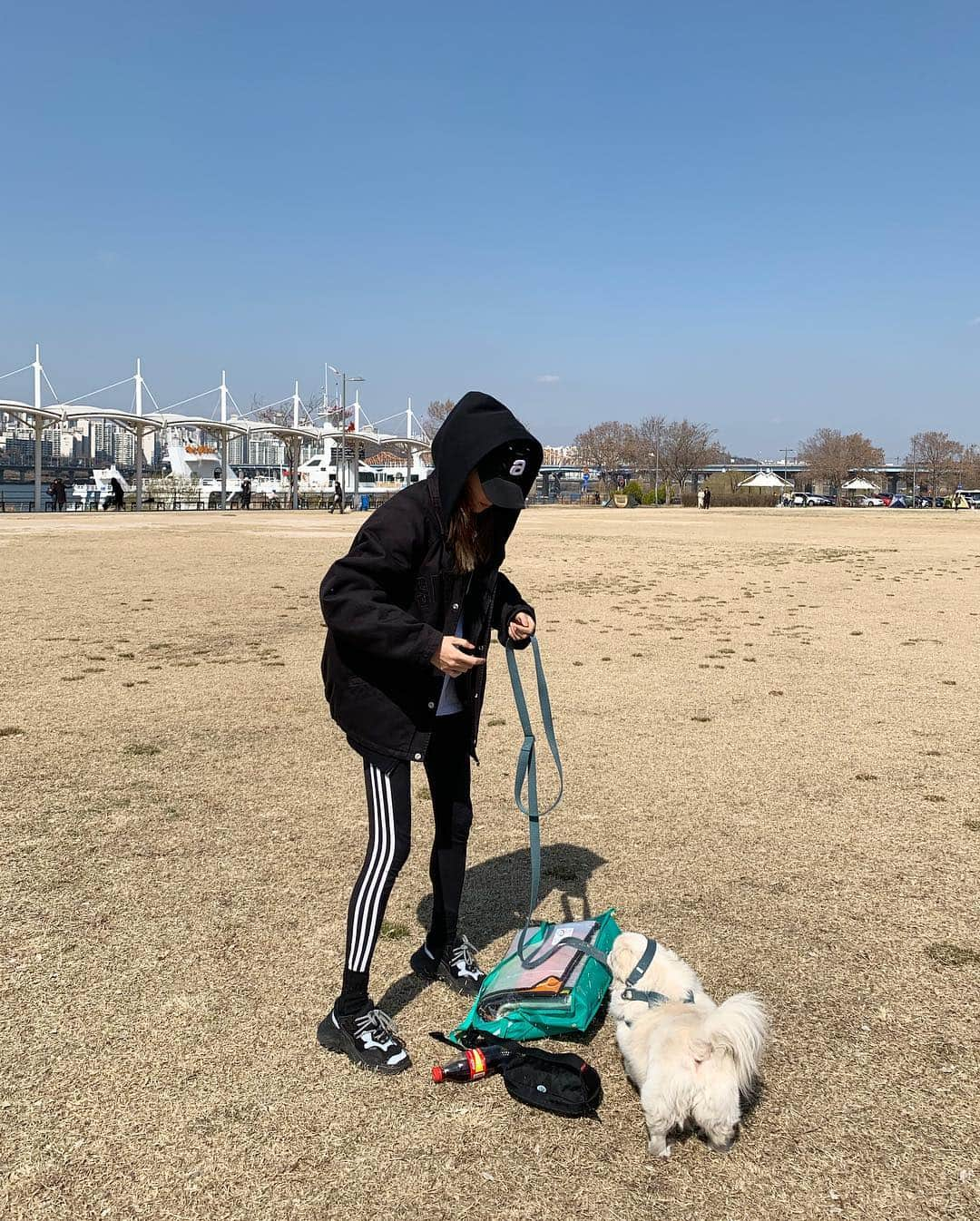 パク・ソラさんのインスタグラム写真 - (パク・ソラInstagram)「벅찬 개어멈과 할말이 많은 친구들...🐶🐶」3月17日 15時10分 - sora_pppp