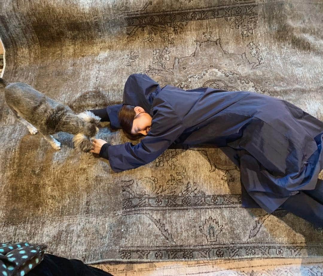 石田ゆり子さんのインスタグラム写真 - (石田ゆり子Instagram)「オーバーダイの絨毯って なぜこんなに魅力的なんだろうなぁと思った… 好きです！ 看板犬トーキーくんと。 遊んでくれてありがとうトーキー😊」3月17日 15時26分 - yuriyuri1003