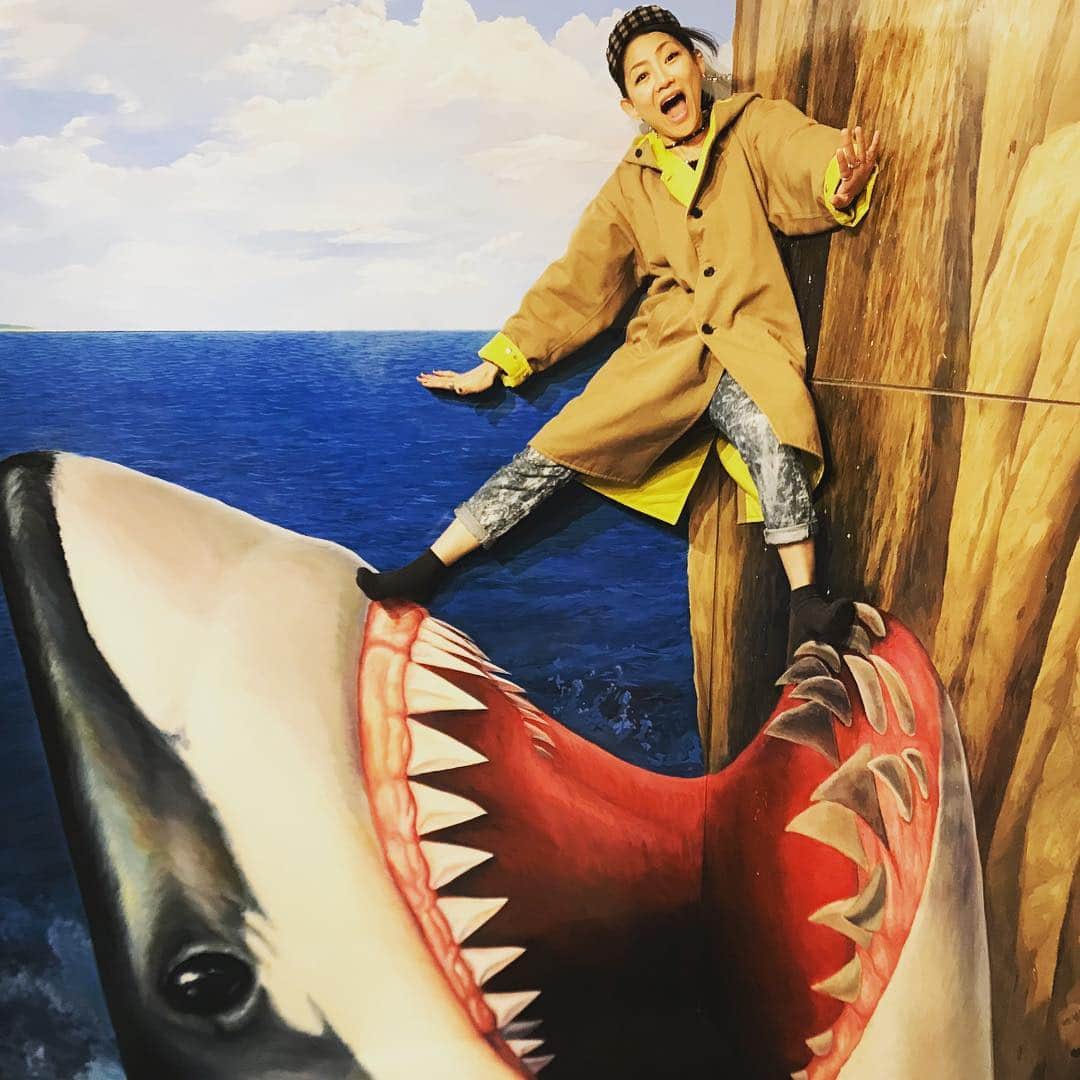 宮本美季のインスタグラム：「トリックアート😆😆😆 trick art musium  #本気で遊ぶ大人 #遂にサメと遭遇 #これは撮る側が大事 #楽しかった」