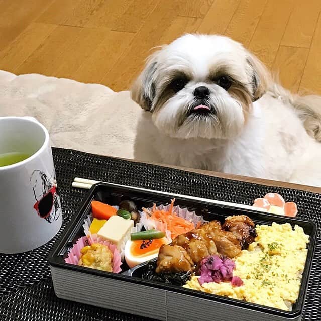 りんくのインスタグラム