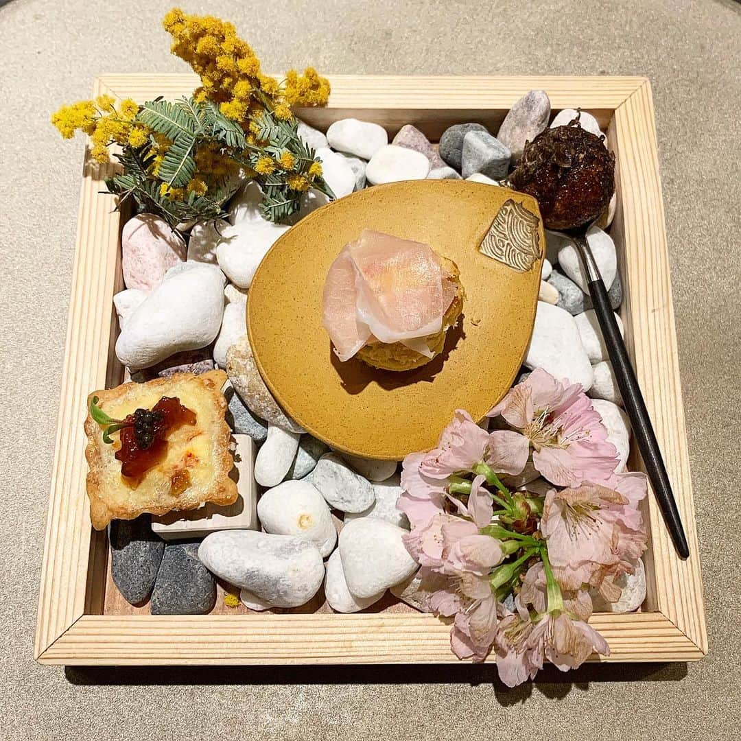 山崎みどりさんのインスタグラム写真 - (山崎みどりInstagram)「一足早い 桜🌸﻿ ﻿ 店内にも桜の木があったけど、﻿ 見とれて写真撮り忘れ🙈﻿ ﻿ @hakuro_nishiazabu ────────────────────────── #桜 #さくら #🌸 #珀狼 #キッシュ #生ハム #トリュフ #dinner #お花見 #ミニお花見 #石は食べれませんのでと言われましたw」3月17日 16時25分 - midori_yamasaki_