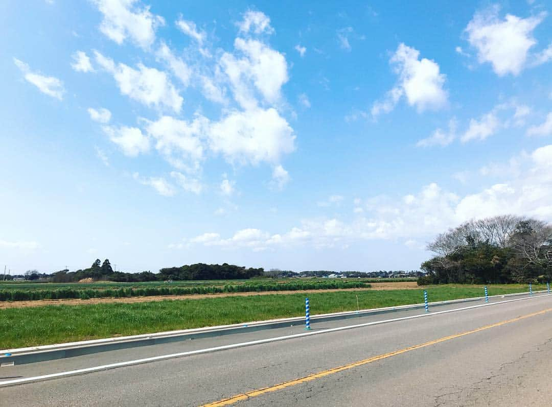 佐藤あずみさんのインスタグラム写真 - (佐藤あずみInstagram)「🍓strawberry picking🍓 . 数万年ぶりにいちごを狩ってきましたー！ 20個食べた！お手洗いがすごく近いなうですー！水分ってすごい！ビタミーーーン！ . 最高の休日でございました。自然さんきゅー🍓❤️ . #strawberry #strawberrypicking #いちご狩り #ちーばべりー #小山ファーム」3月17日 16時42分 - azumisato0330