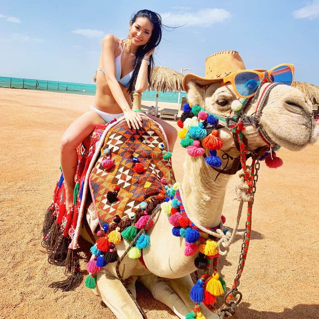 冨田七々海さんのインスタグラム写真 - (冨田七々海Instagram)「Meet my new friend❣️😆🐫 ・ In LOVE with Meraki Resort❤️ ・ ・ ・ #DoItTheMerakiWay #MerakiResort #Meraki #TheMerakiTribe #Merakilous #egypt  #beauty  #missecointernational2019 #hurghada  @merakiresort  #myegypt  #loveegypt ‏ @almasahotelofficial @starscosmeticsindia @vatika_naturals @orbitb1 @drhadeel_m @dr_emadelsaie @allure_clinics @raneemclinic2 #الور ・ #beach #bikini #resort #swimwear #motivation #fitness #水着 #ビーチ #海 #ビキニ #エジプト #egypt #筋トレ #筋トレ女子 #girls #ラクダ　#冨田七々海」3月17日 16時59分 - missecojapan