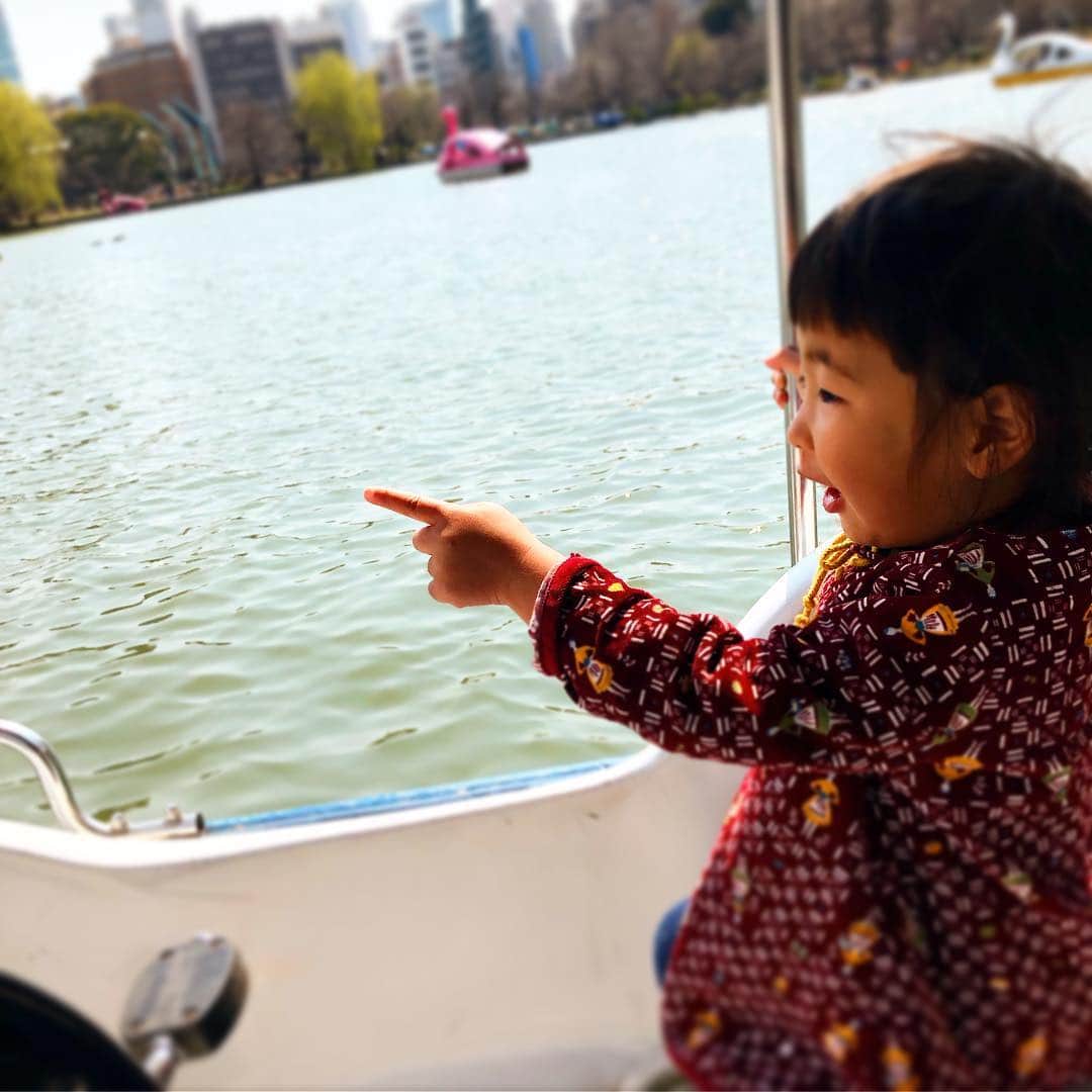 新井美穂さんのインスタグラム写真 - (新井美穂Instagram)「今日は朝から娘と#上野 にお出かけ。 #不忍の池 で娘は#初めてのボート#スワンデビュー そして私は、初めてスワン1人漕ぎデビュー😅「もっと早く！」と娘に煽られ、30分間かなり体力使った〜（笑）  最近携帯カメラに興味深々な娘は「おかあさんも撮ったる〜」とカメラ向けてくれて、最初はいい気分でポーズとってたけど、ボートの上で悪ふざけし始める娘に本気でキレはじめる私のショットもしっかり撮られていた（笑）  それはさておき、上野公園はところどころ桜も咲き始めていて、 2019年春も、いよいよ到来🌸あー楽しみ〜💖 #娘2歳9ヶ月#母娘#休日お出かけ#上野公園#上野動物園#娘が撮影」3月17日 17時21分 - arai_miho