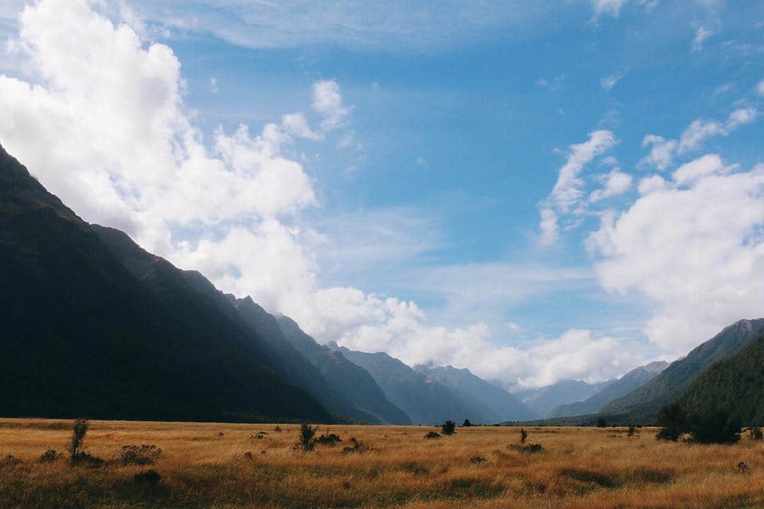 カーリー・ウォパットさんのインスタグラム写真 - (カーリー・ウォパットInstagram)「50 shades of mountain ⛰  #fiordlandnationalpark #eglintonvalley」3月17日 17時17分 - carlywopat