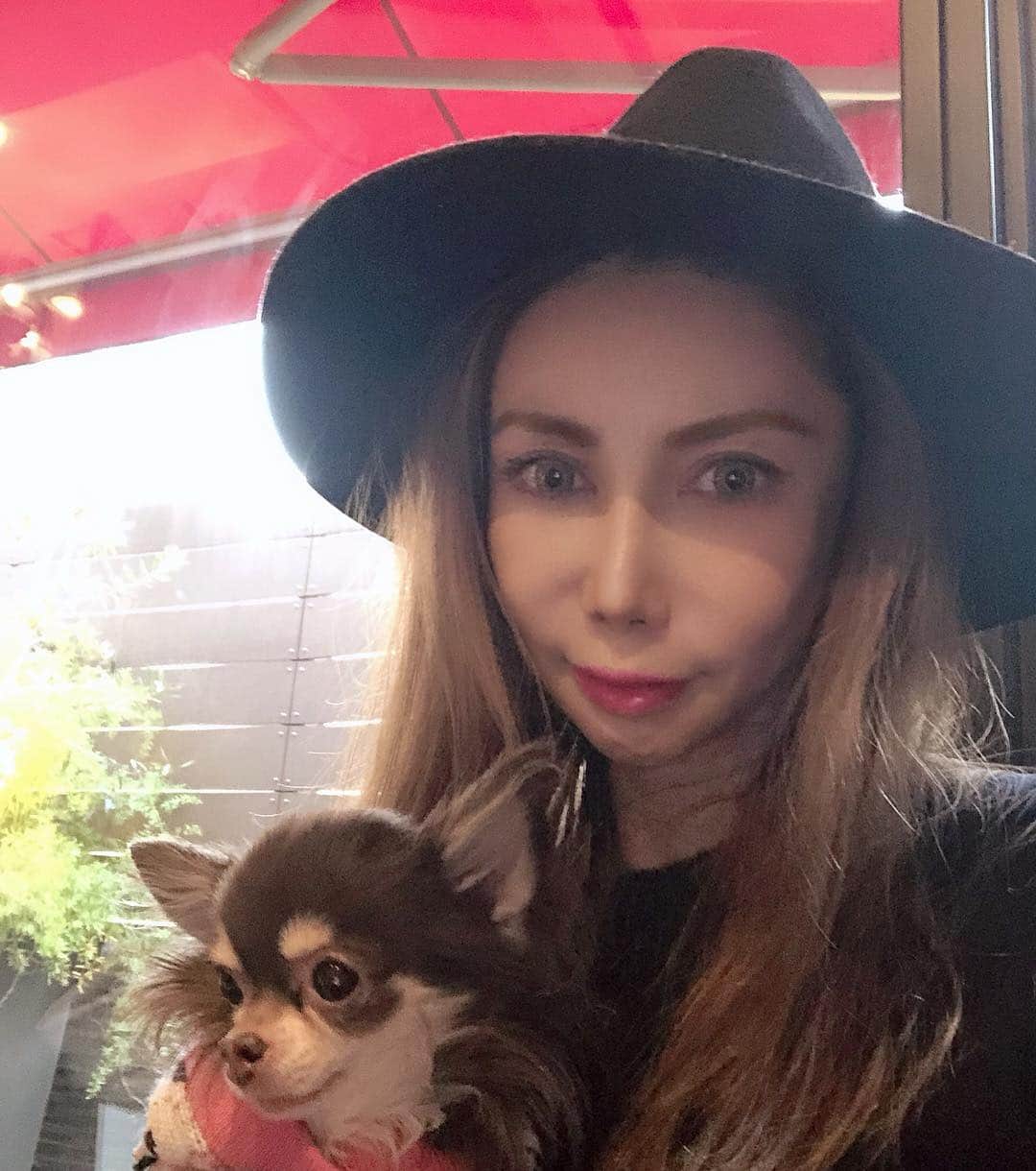 のインスタグラム：「LUNCH😋  #fashion #fashionista #code #codenate #outfits #instagood #ootd #ファッション #ファッションコーデ #コーデ #luxury #ラグジュアリー #love #photooftheday#happy#egoist#alexanderwang #アレキサンダーワン #chihuahua#チワワ#selfie」