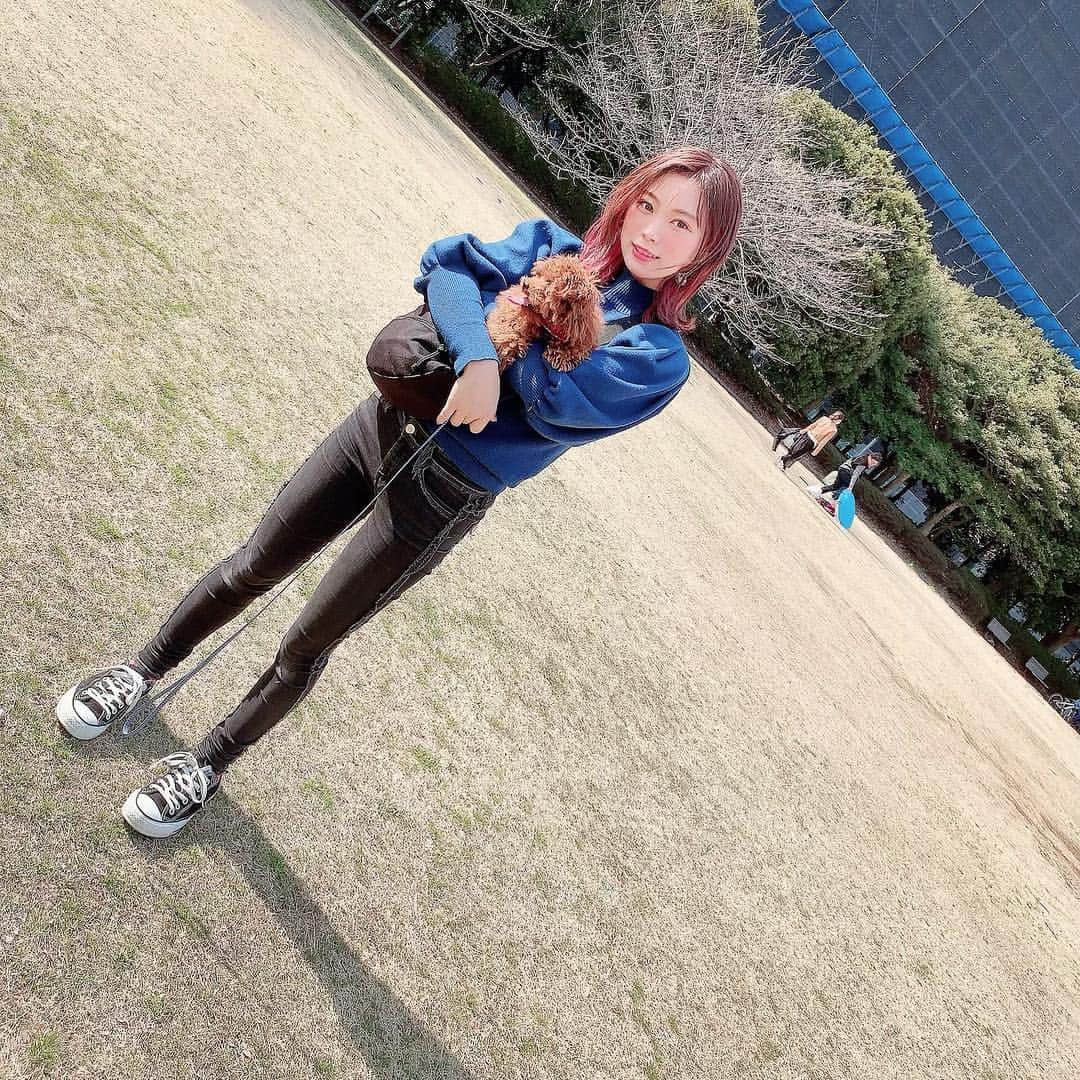 美木優希奈さんのインスタグラム写真 - (美木優希奈Instagram)「ちょこびと公園デート。 最近よくドライブがてらいろんなところにお出かけしてます。 ドッグランデビューはもう少ししたらね。 ・ ・ #family #chocobi #love #pet #dog #cute #baby #4month #teacuppoodle #poodle #toypoodle #dogstagram #poodlegram #instadog #singer #guitar #music #writer #japan #ティーカッププードル #トイプードル #トイプー #トイプードルレッド #男の子 #愛犬 #犬のいる暮らし #犬バカ部 #ふわもこ部 #弾き語り#といぷーどる」3月17日 17時30分 - yukina_miki