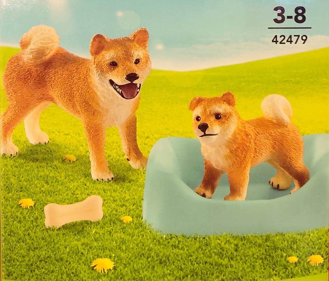 kidzoo+のインスタグラム：「なんてかわいい、柴犬の赤ちゃんが生まれたよ！  柴犬の赤ちゃんは、お母さん柴と一緒にバスケットでじゃれあっています。よちよち歩きの仔犬は、バスケットから出たいようですが、お母さん柴は心配で、仔犬から目が離せません。 ―――――――――――――――――――――― 【42479  柴犬の親子】 ―――――――――――――――――――――― 商品の詳細はプロフィールのURLからご覧いただけます！ ☛ @kidzooplus .  #kidzooplus #kids #kidzoo #誕生日プレゼント #名古屋市名東区 #知育玩具 #フィギュア #アニマル #動物 #柴犬 #親子 #贈り物 #プレゼント #シュライヒ #schleich #インテリア #赤ちゃん #犬 #誕生日 #新商品 #仔犬」