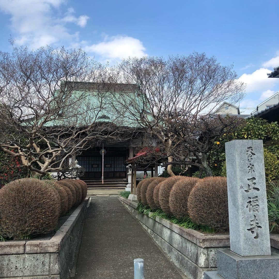 宙也さんのインスタグラム写真 - (宙也Instagram)「寺参り。」3月17日 17時35分 - chuya_aquarius