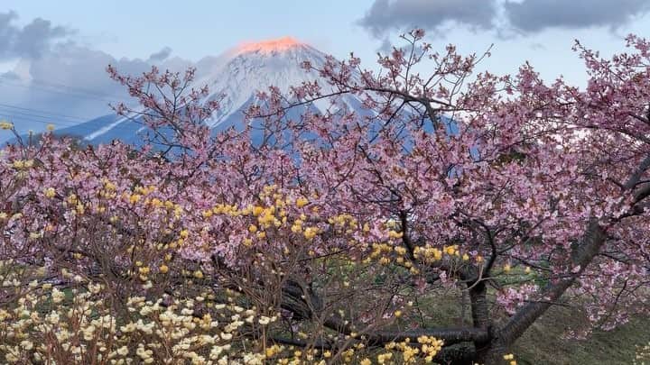 phantastic420のインスタグラム：「. 🤩🤩“Shizuoka” prefecture in Japan is a place where you can see the most “phantastic” Mt. Fuji🗻 in the world.🤩 #富士山 #mtfuji #japan #shizuoka #fujinomiya  #phantastic420photography #mostphantasticmtfuji #selamatpagi  #goodmorning  #おはようございます 😇😇😇😇😇😇😇🗻😇😇 ここ好きだ〜😍🤩😋」