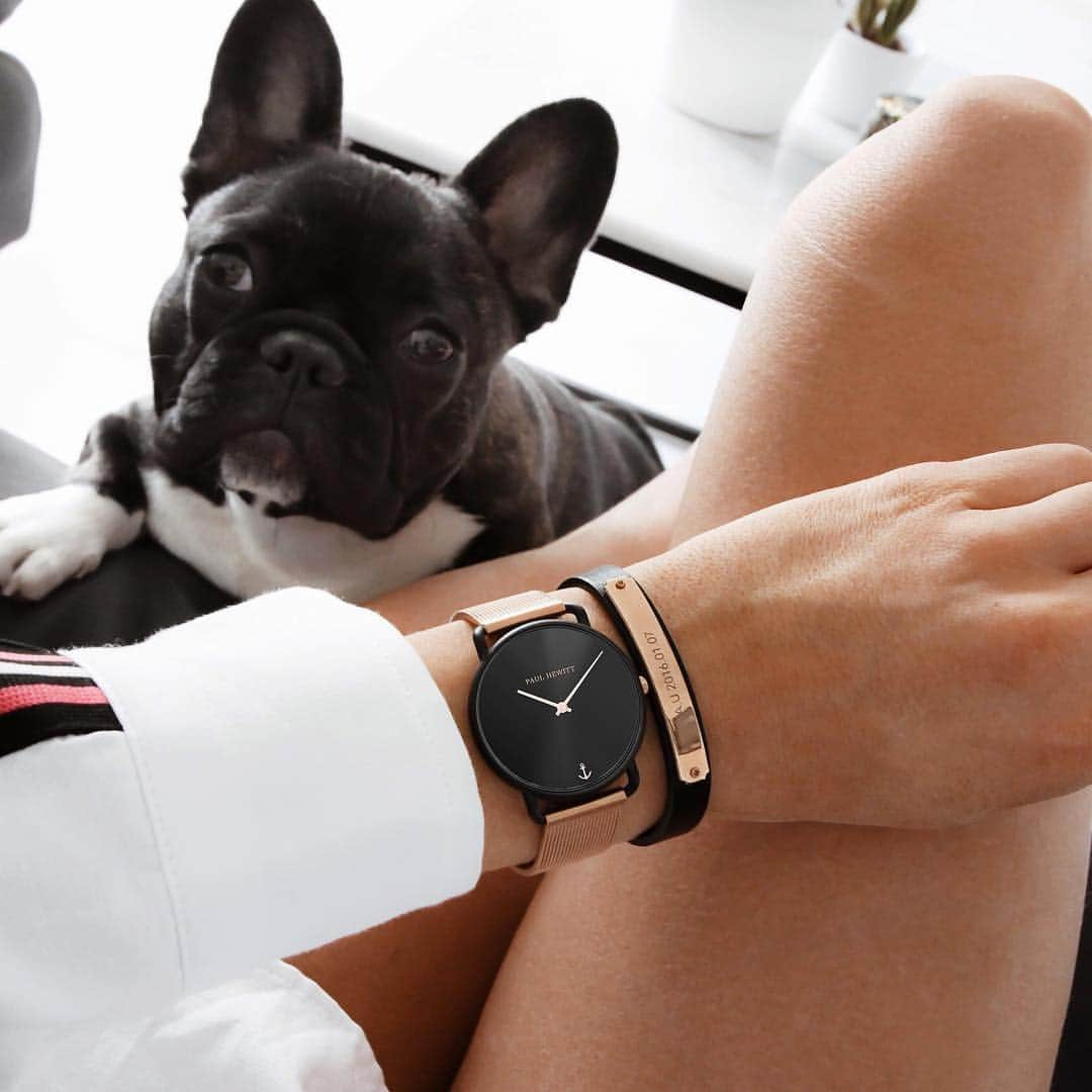 PAUL HEWITTさんのインスタグラム写真 - (PAUL HEWITTInstagram)「Home is where your dog is. 🐶⌚⚓ (photo @karolinlisa) #getAnchored #paulhewitt #missoceanline #signum  __ #womenstyle #womenswear #womensaccessories #dogsofinstagram #womenswatch #dailywatch #ootdwatch #puppy #anchorbracelet #wristgame #wristwatch #womensbest #fashion #styleinspo #rosegold #details」3月17日 18時01分 - paul_hewitt