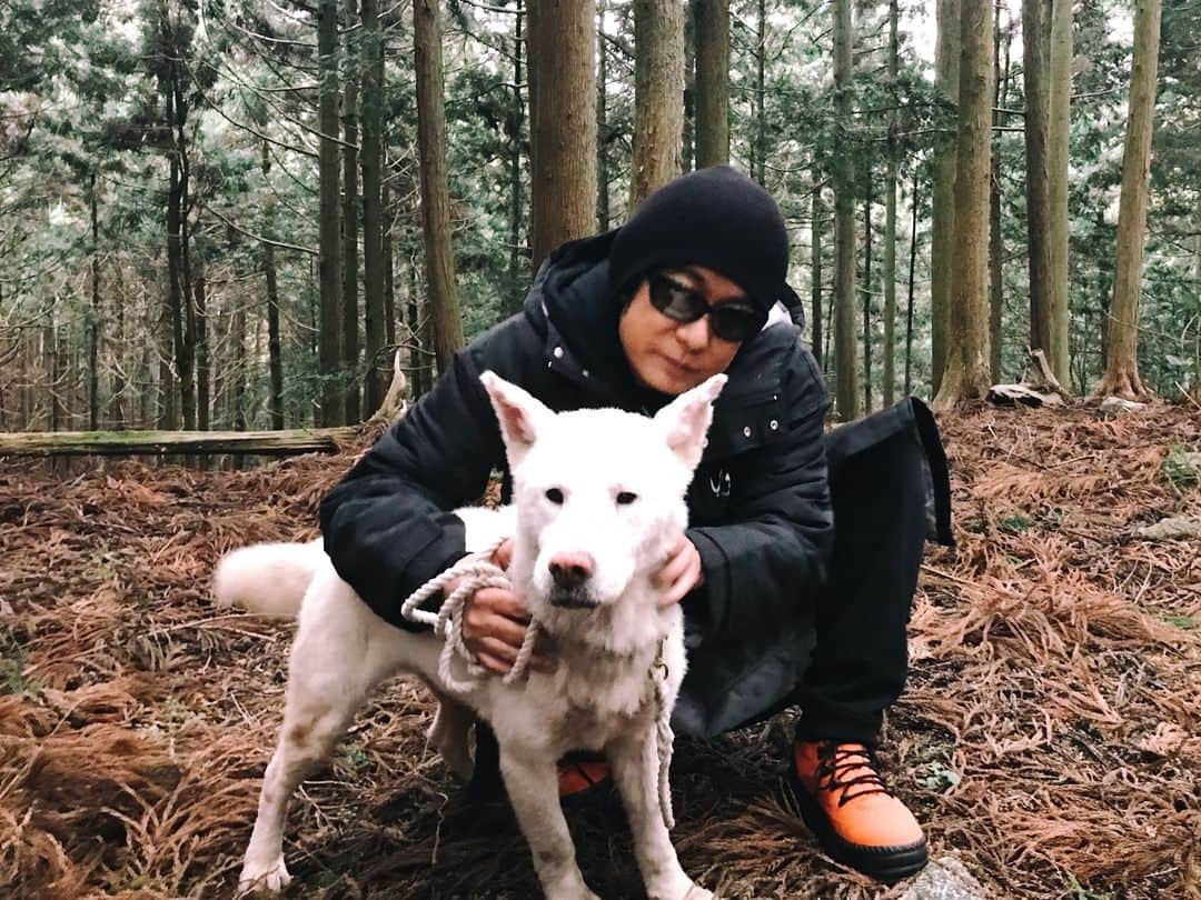 永瀬正敏さんのインスタグラム写真 - (永瀬正敏Instagram)「“映画『Vision』吉野ロケ地ツアー無事に終了しました。 参加して頂いた沢山の皆さん、ありがとうございました！ 『Vision』の世界観を堪能していただけたでしょうか？  そして、コウにやっとまた会えたぁー！！！” 〜from M.Nagase. ★  #映画vision #visionmovie #河瀨直美監督 #naomikawase #奈良 #吉野 #参加して頂いた皆さんありがとうございます #朝は雲海が #愛犬 #コウ #愛おしくて仕方ない #そしてただいまtokyo #永瀬正敏 #masatoshinagase」3月17日 18時05分 - masatoshi_nagase_official