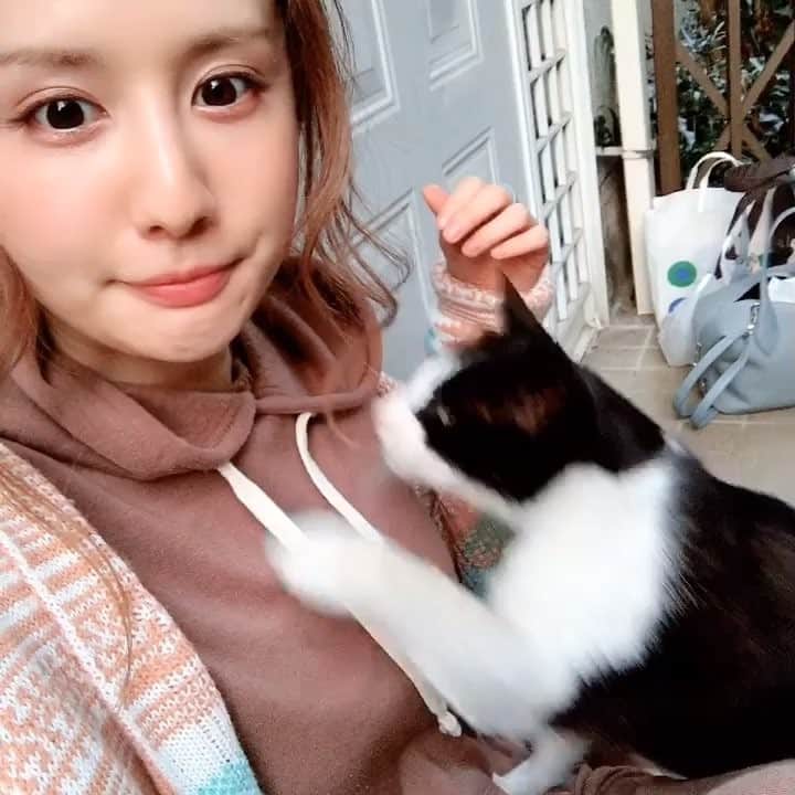 カブトムシゆかりのインスタグラム