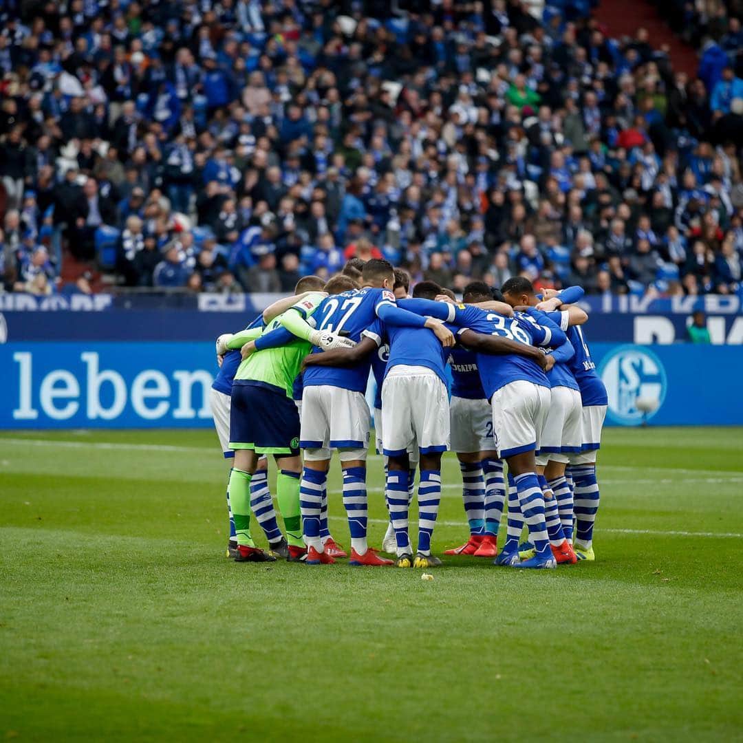 シャルケ04さんのインスタグラム写真 - (シャルケ04Instagram)「💬 Huub #Stevens: Our fans supported us fantastically. Obviously they aren’t happy; I’m the first person to know that. We will train hard over the next two weeks, so that we are ready for the upcoming games 👊🏼⚒ . . #S04 #Schalke #Knappen #Königsblau #🔵⚪️ #RoyalBlues #Bundesliga #Matchday #Support #Fans #Futbol #Football #Soccer」3月17日 19時05分 - s04