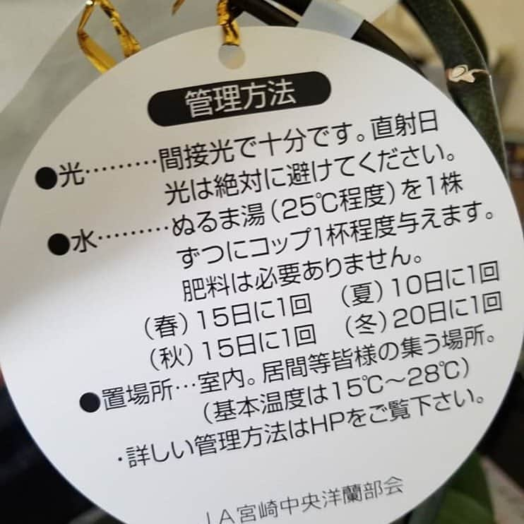 ほんこんさんのインスタグラム写真 - (ほんこんInstagram)「ほんこんの花屋さんbloom 花のお兄さんです。  今日もたくさんのご注文いただいております。 ありがとうございます。  今日は胡蝶蘭配達があります。 選挙頑張ってください！ ありがとうございます。  卒業式御祝い花束ご注文ありがとうございます。 おめでとうございます。  皆さん毎日のご注文いただきありがとうございます。 お花の事なんでもご注文承ります。 お気楽にご連絡ください。 お待ちしております。  ほんこんの花屋さんbloom mail  honkon878@gmail.com TEL  080-7975-4314 #ほんこんの花屋さんbloom  #胡蝶蘭 #花屋 #花束 #注文 #海蔵kaizou  #ほんこん #卒業式 #感謝」3月17日 19時15分 - hongkong2015_4_9