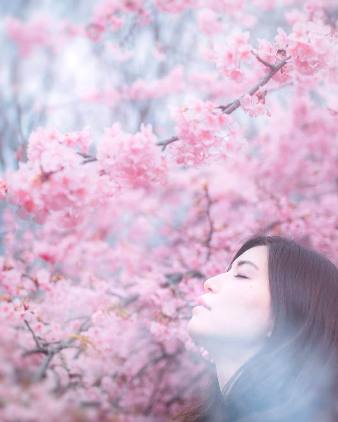 のインスタグラム：「🌸🌸 Tokyo/Japan ・ ・ #多重露光 ・ ▼Follow & Tag▼ @team_jp #team_jp_ @indies_gram #indies_gram ・ ・ ・ ・ #ポートレート #good_portraits_world#portrait#as_archive#photogram_archive #hueart_life#tokyocameraclub#jp_mood#reco_ig#indy_photolife#instagram#igersjp#Instagramjapan#ig_phos#lovers_nippon_portrait#bestjapanpics#ray_moment#japan_daytime_view#photo_jpn#vivid_impact#rox_captures#japan_portrait_club#jp_portrait部」