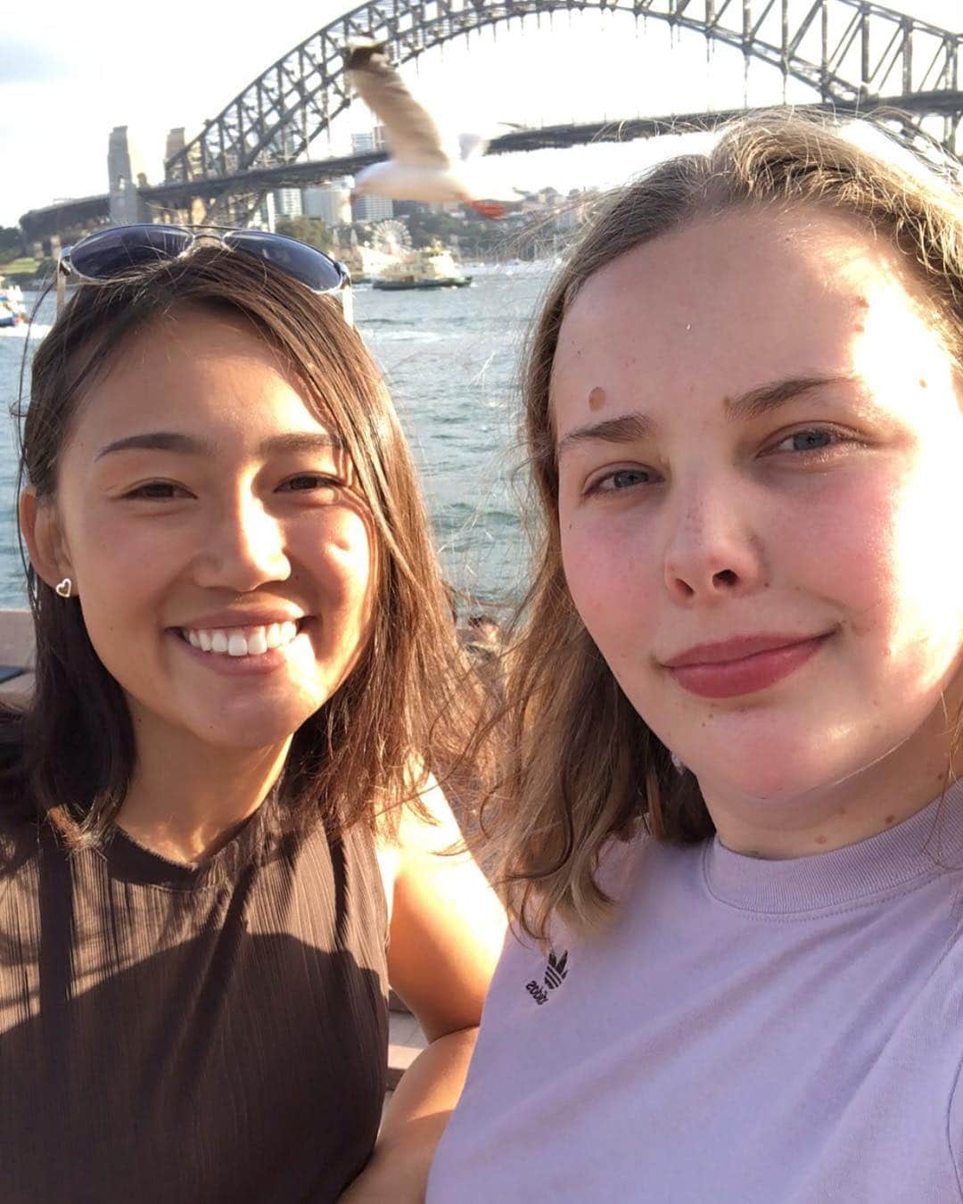 八木愛莉さんのインスタグラム写真 - (八木愛莉Instagram)「Bye bye Australia 👋🏼🇦🇺🐨﻿ 7週間のオーストラリア合宿これにて終了！﻿ いつも沢山のサポート有難うございます。﻿ ✈︎✈︎✈︎ヨーロッパに帰ります✈︎✈︎✈︎﻿ ﻿ #australia#sydney#trainingcamp#sightseeing#onedaysoff#nsw#penrith#paddlinglife#harbourbridge#timetogohome#byesummer#ana#anacargo#nike#globalwifi#montbell#oginopan#ocs」3月17日 19時31分 - airi.yagi