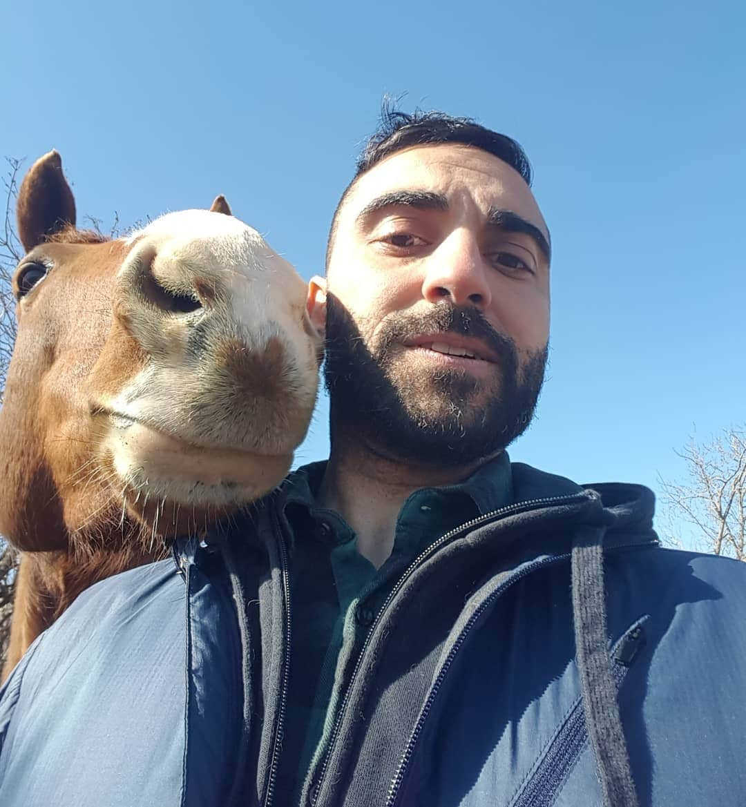 リー・マジャブさんのインスタグラム写真 - (リー・マジャブInstagram)「Happy St. Patrick's Day! From me and Cicada.  2. "Hey, Lee. Clean my water trough." 3. I guess I understand the basis of our relationship.  #StPatricksDay #HappyStPatricksDay #Horses #Relationships #RelationshipGoals」3月18日 5時26分 - leemajdoub