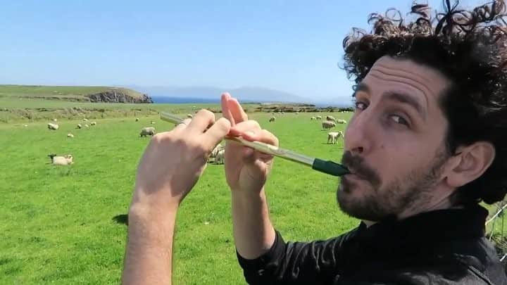 アダム・シャピロのインスタグラム：「I may have only married into Irish heritage but I feel like it’s in my blood. #happystpaddysday」