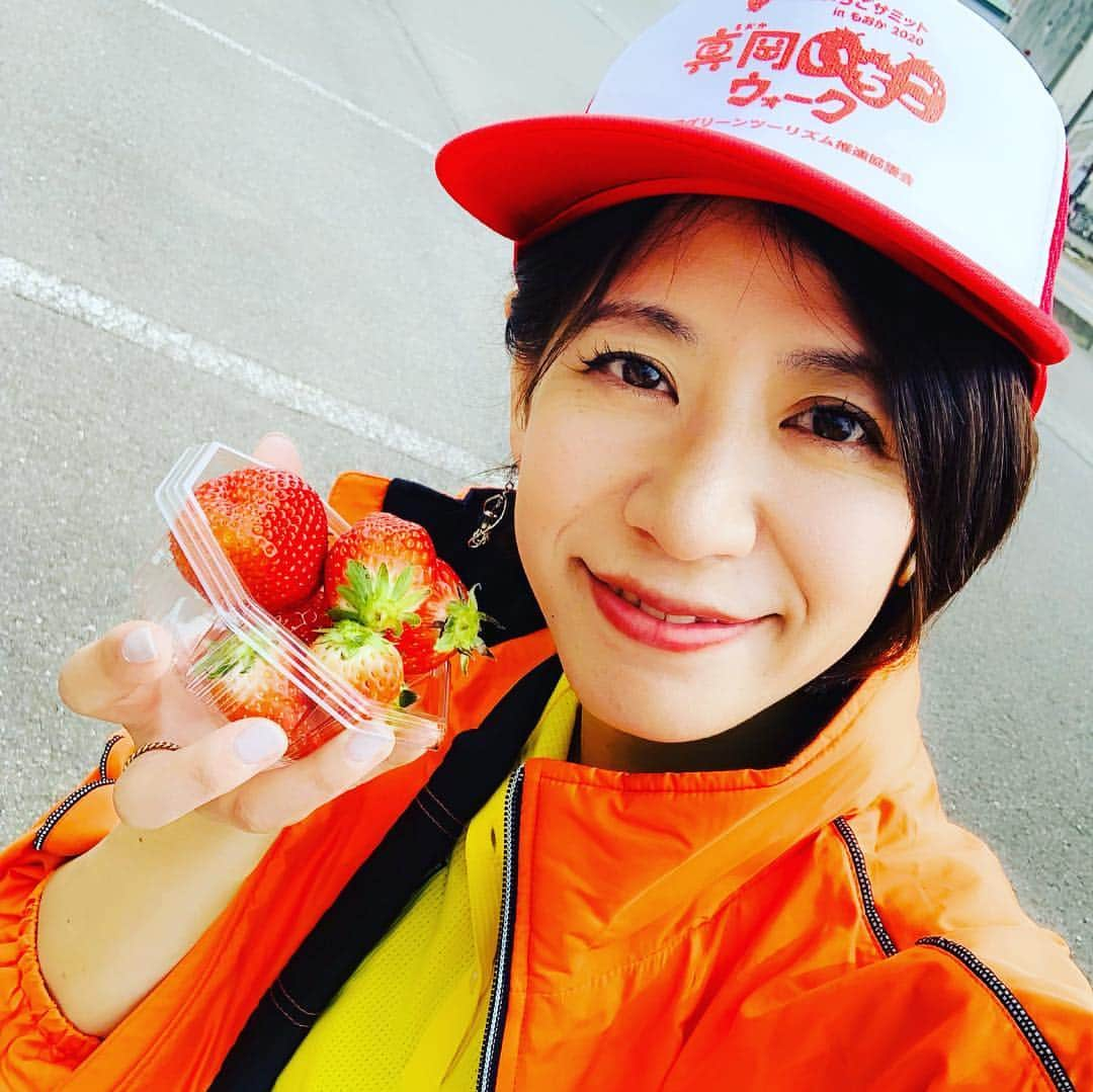 サトウヒロコさんのインスタグラム写真 - (サトウヒロコInstagram)「🍓 第1回 真岡いちごウォーク でした。 12キロのウォークラリーは私の足ではまだまだハードな旅。中継が間に合わないかもしれないと、早歩きしたり小走りして休憩なく歩きました。実は5キロを過ぎたあたりから、ずっと股関節が痛くなっていたのいうのは...うふふ。 ここだけの話（笑） ↑頑固な負けず嫌いなのでその時は言えないの、いつも（笑） ・ 12キロ歩き終えて、市長とのインタビューで久し振りにゆっくり座った時、お椅子様のありがたみを知ったのでした。泣 ・ 早朝のミニライブから始まり、ラジオの生放送は不慣れなリポート...失礼しました。終始楽しく、終始美味しく過ごさせていただきました。 帰宅して私の万歩計をのぞいてみたら 22065歩！！と、驚異の数字を出したとさ。股関節弱々芸人にはこたえるぜ。 それでも元気に過ごせたのは 真岡の美しい風景と、あたたかいひとと、なんといっても美味しいいちごがそこにあったから！それにつきます。 ・ たった一曲のためにわざわざ会いに来てくださった皆様ありがとうございました^_^幸せでした！ ・ インタビューに答えてくれた、 シルバー大学のウォーキング大好き仲良しグループの皆様、仲良し親子、JAはが野 販売営業担当 いしざきさん、真岡市長 石坂しんいちさん...ありがとうございました！ 1日一緒に頑張ってくれた、ディレクターの加藤君も、CRT栃木放送の皆さんも、関係者様も、出演者様も、ありがとうございました！そしてお疲れ様でした◎ ・ 来年にはいよいよ！全国いちごサミットin真岡 が開催されます。今からとっても楽しみですね♡ ・ ほんと、体壊さないようにしようね。切実 ・ ・ そういえば。フリーアナウンサーの須賀由美子さんに教えていただいた、いちご検定取りました。今回のイベントもあったしちょうどいいなと。 ・ ストロベリーファームのみんなのおかげで、いちごに詳しくなっていたサトウさん。来年はこの話もしよう。ふむふむ ・ #サトウヒロコ #シンガーソングライター #シンガーソングライダー #シンガーソングランナー #シンガーソングウォーカー #CRT #CRT栃木放送 #栃木放送 #リポーター #初体験 #ふれあい旅 #ヒロちゃんのふれあい旅 #真岡 #いちごフェスタ #いちごウォーク #大前神社 #JAはが野 #いちご #真岡市長 #全国いちごサミット #いちごサミット #全国いちごサミット2020 #いちご検定 #1級合格」3月17日 21時35分 - satohiroko1208