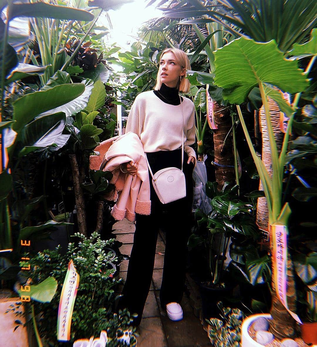 ステファニー・ミチョヴァのインスタグラム：「So we named all of our plants after rappers 😂 모든 화분들의 이름은 래퍼 이름을 따서 지었어요. 🌺😅 so far we have a Travis Scott that’s blooming beautifully. Fiji Macintosh is coming in nicely and Kayne West keeps growing 😂🌺🤘🏻 we need some more name suggestions 😂😂」