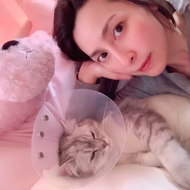 奥菜恵さんのインスタグラム写真 - (奥菜恵Instagram)「#猫」3月17日 21時37分 - megumi_okina
