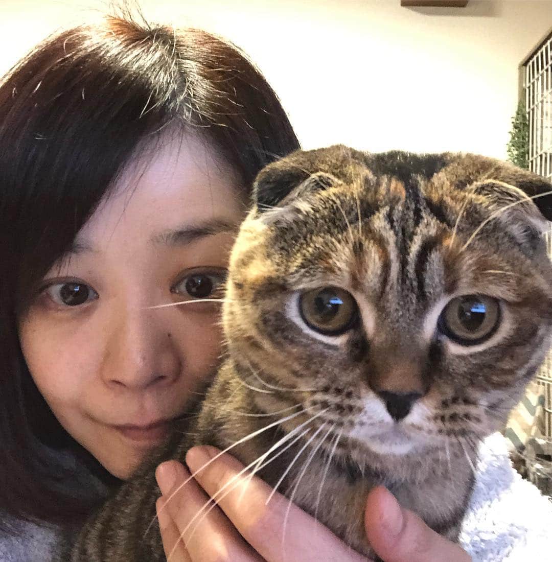 小林愛さんのインスタグラム写真 - (小林愛Instagram)「真顔のるーたんと、私。  #猫 #ねこ #cat #にゃんすたぐらむ」3月17日 21時51分 - love_me_ai