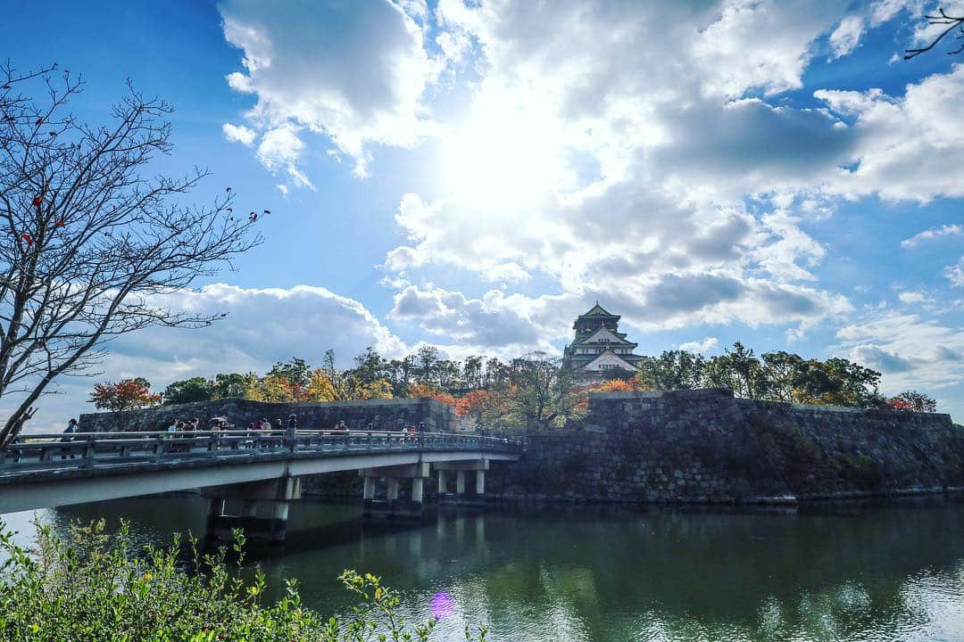 MagicalTripさんのインスタグラム写真 - (MagicalTripInstagram)「Welcome to @Magicaltripcom ⠀ “Travel Deeper with a Local Guide!” ⠀ -------------------------------------------------⠀ One of the things that we love to our country Japan is that we have such a beautiful four different seasons in a year! ⠀ *⠀ As we started Osaka Cycling Tour last year, we found out that the views around #Osakacastle are outstanding! ⠀ *⠀ We believe this is one the places to visit if you love to see the beautiful views and of course learn about its history.⠀ It's also known as one of the three famous castles in Japan with #Himeji catsle and #edocastle .⠀ *⠀ *⠀ Definitely worth visiting! 📷: @shoto.8 ⠀ -------------------------------------------------⠀ 【🌀What is #Magicaltrip 🌀】⠀ *⠀ Unique travel experiences with local guides in Japan! 🇯🇵🇯🇵⠀ Our #locallguides will take you to the local and hidden places in Japan!⠀ *⠀ *⠀ Why don’t you make your special travel experience more unique and unforgettable with us? ⠀ *⠀ *⠀ 【😎Tour Information😎】⠀ Please check out our unique tours in Japan👇👇⠀ *⠀ *⠀ Bar Hopping tours🍶in Tokyo, Osaka, Kyoto, and Hiroshima, discovering the local izakaya in #Japan! 🍻🍻⠀ *⠀ Food tours are not all about sushi🍣but also Japanese traditional food such as okonomiyaki, oden, sashimi, yakitori 😋😋⠀ *⠀ Cultural-Walking tours🍀in Asakusa, Nakano, Akihabara, Tsukiji, Togoshiginza, Yanaka, Ryogoku, where you can dive into the deep Japanese cultures! 🚶🚶⠀ *⠀ Explore Tokyolife with cycling tour🚴🚵, club-patrol💃, Karaoke night🎤 and sumo tour! 👀👀⠀ *⠀ *⠀ *⠀ ⭐️Book our tours on the link of @Magicaltripcom profile page! ⠀ *⠀ *⠀ *⠀ #magicaltrip #magicaltripcom #japantour #tokyotour #wheninjapan #love_bestjapan #igersjapan #ig_japan #team_jp_ #tokyojapan #wheninjapan #osakajapan #japanlover #exploringjapan #lovers_nippon #discoverosaka #japancycling #cyclingjapan #loveosaka #osakatrip #osakatravel #japanesecastle #cyclingtour #osakatour」3月17日 22時13分 - magicaltripcom