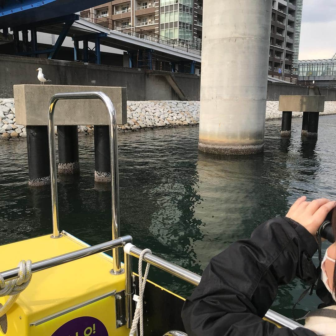 TOKYO WATER TAXIさんのインスタグラム写真 - (TOKYO WATER TAXIInstagram)「東京バードサンクチュアリーツアー。 アオサギ、カワウ、ゆりかもめ、カモ。それぞれ繁殖や子育てシーンなど貴重なシーンに遭遇できます！ 小型のTWT艇は、近くに寄っても鳥達が驚かないので、リラックスした鳥達の姿をゆっくり観察できます^_^  #tokyowatertaxi #水上タクシー #アオサギ #コサギ #カワウ  #子育てシーン #雛鳥可愛い #自然観察 #野鳥 #水鳥 #お台場 #高輪ゲートウェイ駅そば #野鳥の楽園 #バードウォッチ #オリジナルツアー」3月17日 22時20分 - tokyowatertaxi