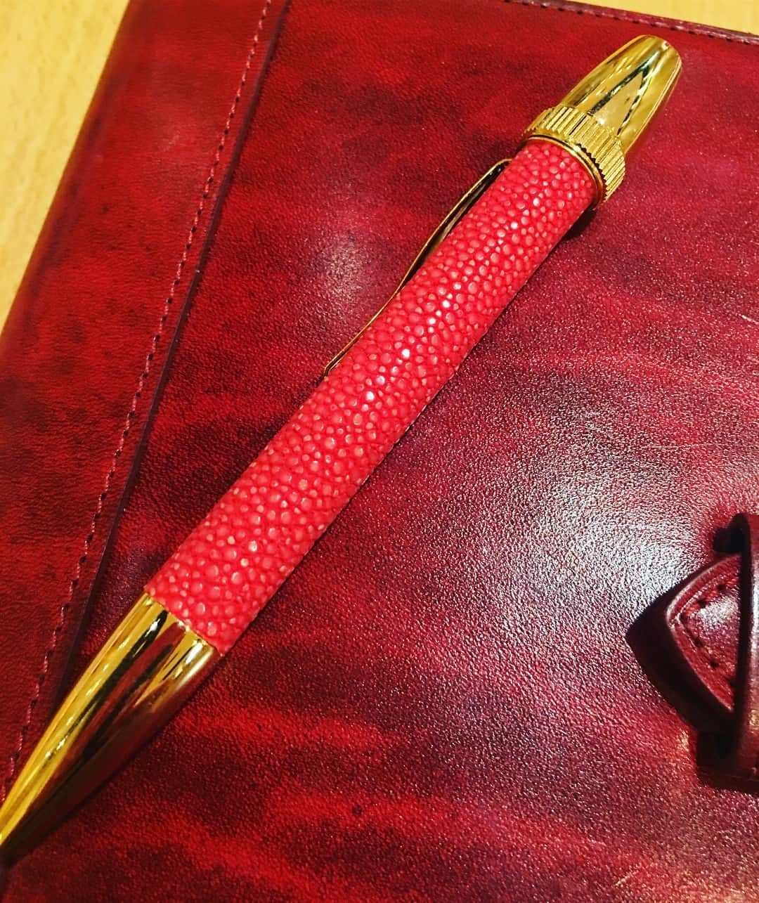 宮田麺児さんのインスタグラム写真 - (宮田麺児Instagram)「エイ皮のボールペンを見つけました。  #エイ#エイ皮#ボールペン」3月17日 22時31分 - miyatamenji