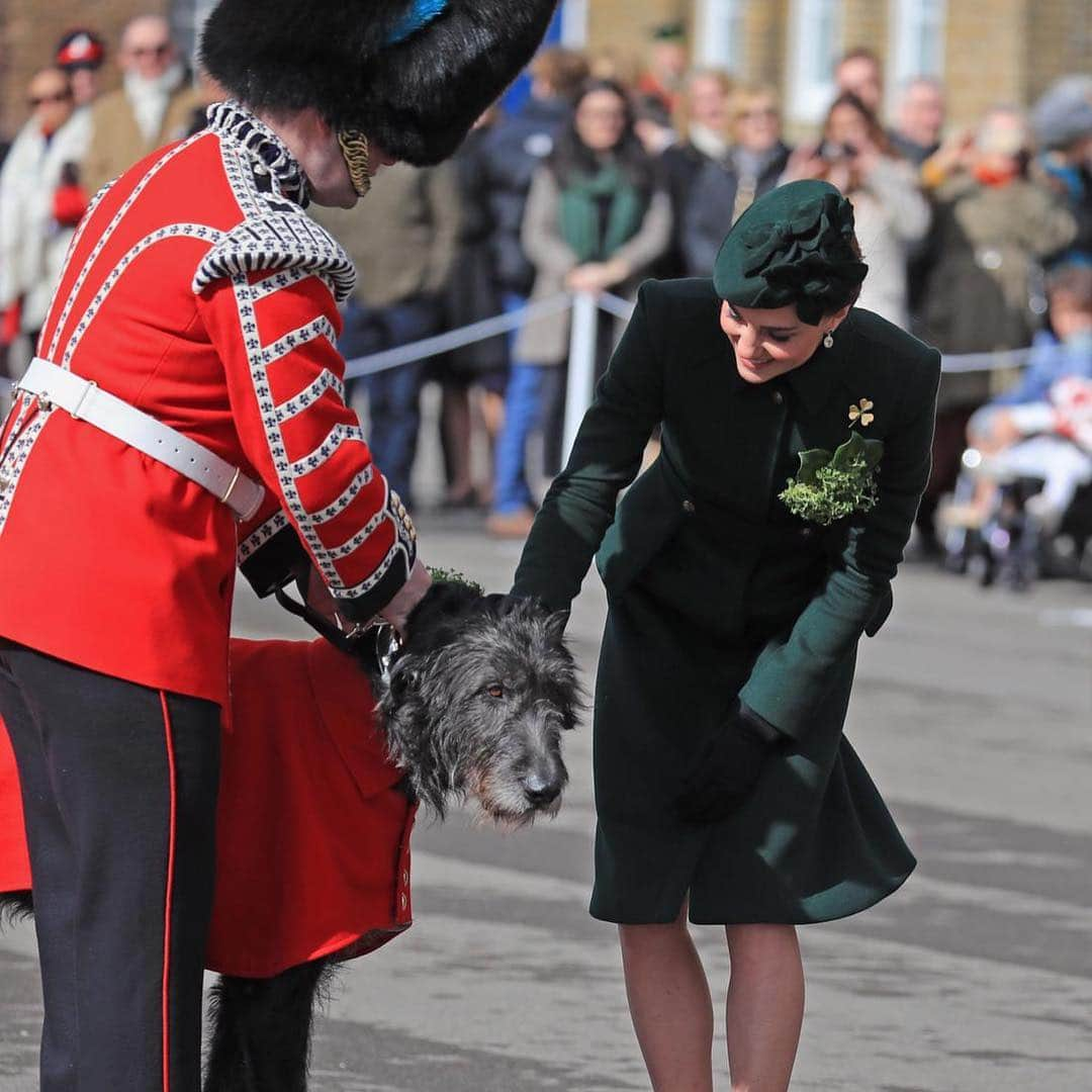 ロイヤル・ファミリーさんのインスタグラム写真 - (ロイヤル・ファミリーInstagram)「The Duke of Cambridge, Colonel of the @irishguards, and The Duchess of Cambridge join the #StPatricksDay Parade at Hounslow Barracks, London.  The Duchess presented shamrock to Officers and Warrant Officers and to Irish Wolfhound, Domhnall, the Irish Guards’ mascot. 📸 PA」3月17日 22時41分 - theroyalfamily