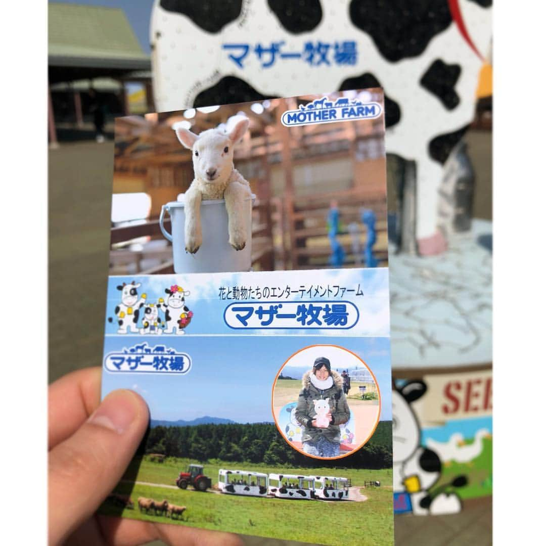 宮崎湧（なのっくす。）のインスタグラム：「原付ひとり旅。帰りにずっと行ってみたかったマザー牧場に遊びにいきました 記念撮影ブースでぼっちという鬼のようなシチュエーションに顔面が硬直していると カメラマンのお兄さんが赤ん坊などの目線を引くためのガラガラを鳴らして和ませてくれました。 宮崎、満面の笑みをもっていかれる。  たのしかったです。🐮🐴🐷🐔 旅の目的である千葉の君津にある 亀岩の洞窟という  タイミング次第で川の流れの中の岩がハートに見えるとも言われる、所謂インスタ映え洞窟を観に行くために  深夜に出発して日の入りの朝日が絶妙に差し込むタイミングを 1時間ほどその場で待ってみたのですが今日はダメでした。 またリベンジしたいですね ♨️2件ハシゴして 帰路につきます(◜௰◝) #インスタ映え #マザ牧ぼっち参戦。」