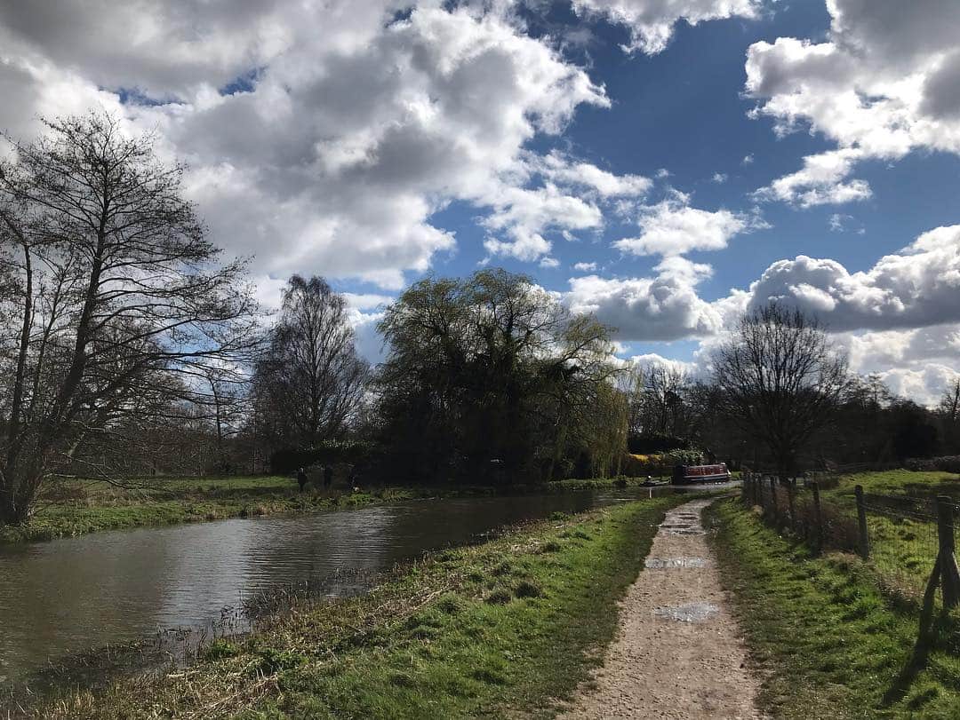 Rie fuさんのインスタグラム写真 - (Rie fuInstagram)「Beautiful day 🌱🌳久しぶり晴れたので、隣町まで８キロほどお散歩。緑が増えて、鳥のさえずりも変わり、これから美しい季節がやって来る。#uk #countrylife #surrey #nature #scenery #イギリス #田舎暮らし #サリー州」3月17日 23時00分 - riefuofficial