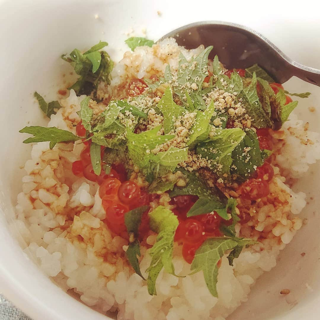 末野卓磨さんのインスタグラム写真 - (末野卓磨Instagram)「今日は自宅でいくら丼です。  実家に感謝(*´∇｀*)」3月17日 23時05分 - takuma_sueno