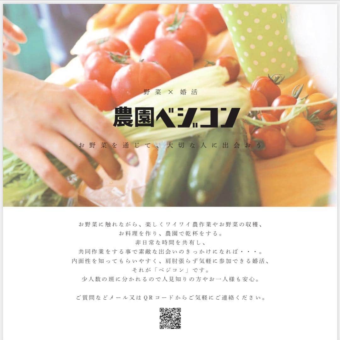 菅野広恵さんのインスタグラム写真 - (菅野広恵Instagram)「＊＊＊ 第31回✨東京農園ベジコンを4月29日に開催します💓 @vegecom0831 ・ 農園ベジコンは、農園で、農作業をペアで行ったり、お野菜の収穫をして、班に分かれて青空の下クッキングを行い、農園パーティーをします🥕🌽🥦 お酒ももちろんご用意🥂 ・ 今回もシェフで藤田シェフが来てくれるため、美味しいお料理もたくさん食べて頂けます💕 ・ ご興味のある方はDMください🥕 お友達に紹介したいなどのご連絡もよく頂くので、是非是非ご連絡お待ちしてます🤗🌽 ・ #野菜 #農業 #婚活イベント #ベジコン #大阪婚活 #婚活 #婚活女子 #婚活パーティー #婚活難民  #素敵な出会い #独身男女 #関東イベント #東京婚活 #若手農業者  #農園 #野菜ソムリエプロ #川崎野菜 #子育て中 #育児中 #赤ちゃんとの生活  #1歳4ヶ月  #生後15ヶ月  #農業応援 #カラフル野菜 #6次産業 #農業ガール #農業好き #農業好きな人と繋がりたい #大阪野菜 #アラサー独身女子 #婚活難民」3月17日 23時20分 - hiroesugano
