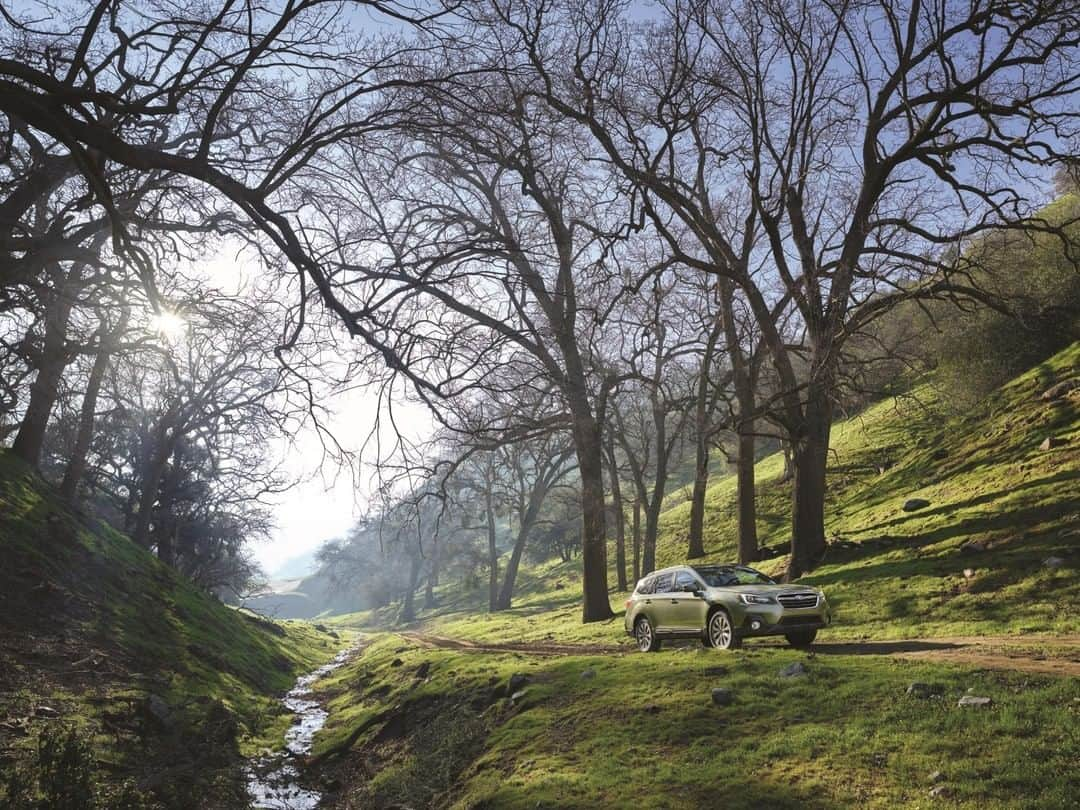 Subaru of Americaさんのインスタグラム写真 - (Subaru of AmericaInstagram)「Green vibes. ☘️ #SubaruOutback」3月17日 23時24分 - subaru_usa