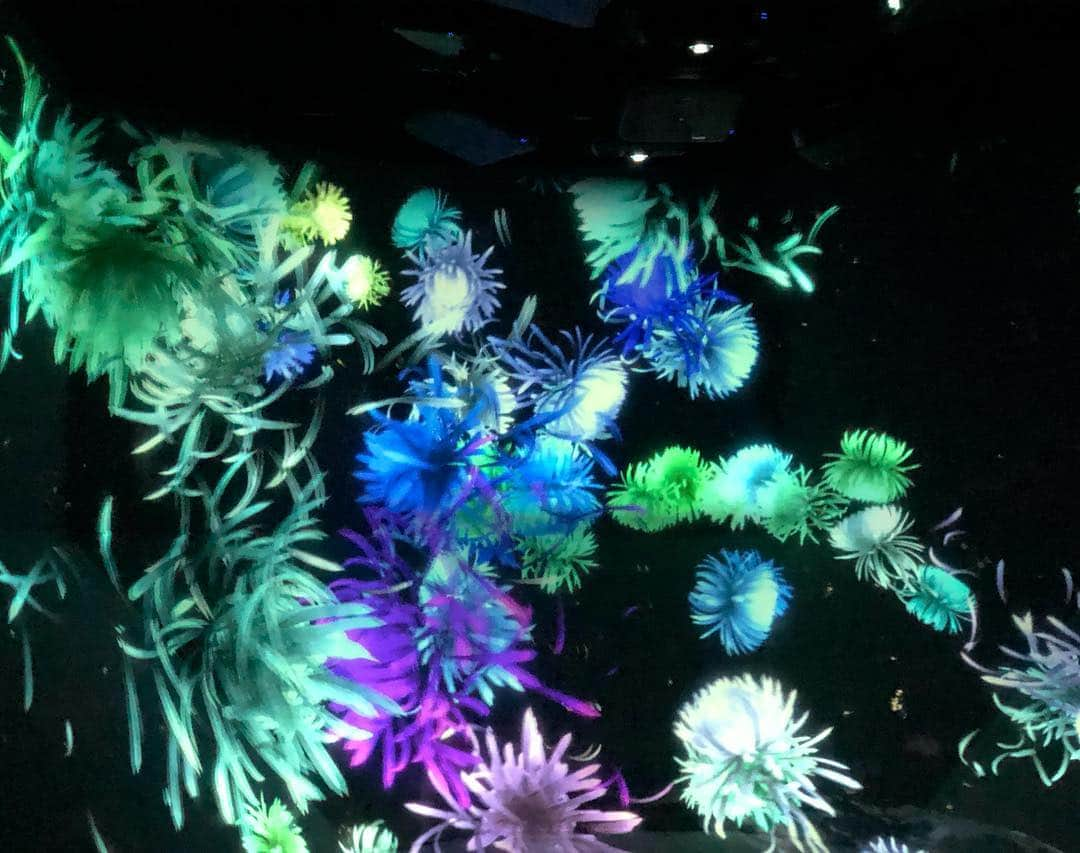 Sayuri（岸岡小百合）さんのインスタグラム写真 - (Sayuri（岸岡小百合）Instagram)「* 今日はteamLab Borderlessに行ってきました✨ * 幻想的で、 自分がどこにいるのかわからなくなるくらい 不思議な空間でした‼️ 本当に綺麗だった😭✨ * もはや自分も不思議な空間や 綺麗なアートに溶け込んだような感覚に🌌 * 楽しい1日だったな♪ #teamLab #チームラボ #東京女子部 #チームラボお台場  #チームラボボーダレス  #お台場 #東京 #最近二重アゴだな‥困った」3月18日 0時07分 - sayuuringo