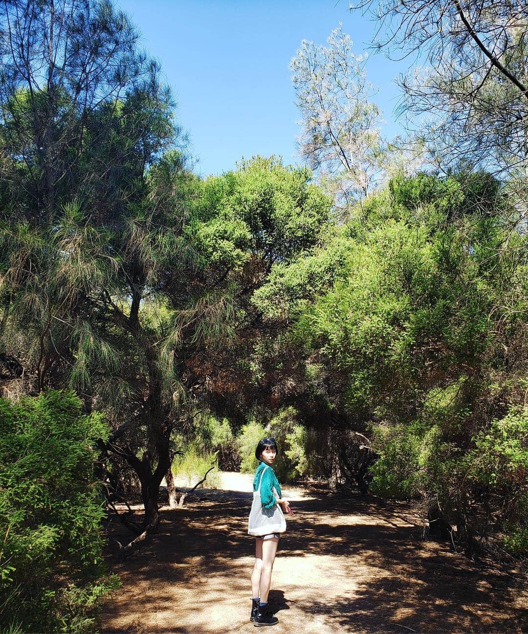 のインスタグラム：「🌿☯️🌿☯️🌿☯️」