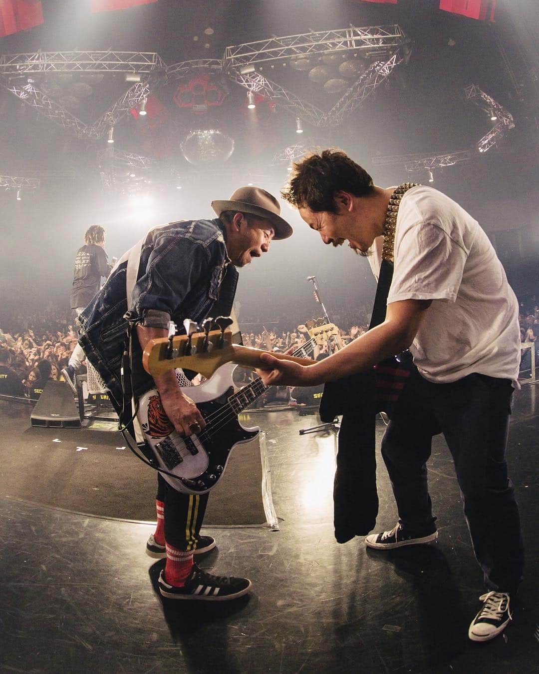 のインスタグラム：「CONTRA ACT2019 鋭利でグサグサっていうより あったかい刺激って感じだったな photo by @ysz.photo  #ベース重いわぁって言ってたw #thebonez#10feet  #contraact #msml#msmltokyo #combatguitars#adidasoriginals」