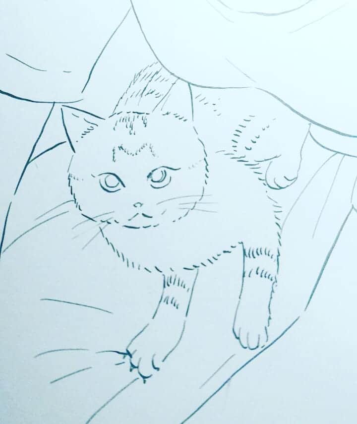 真造圭伍のインスタグラム