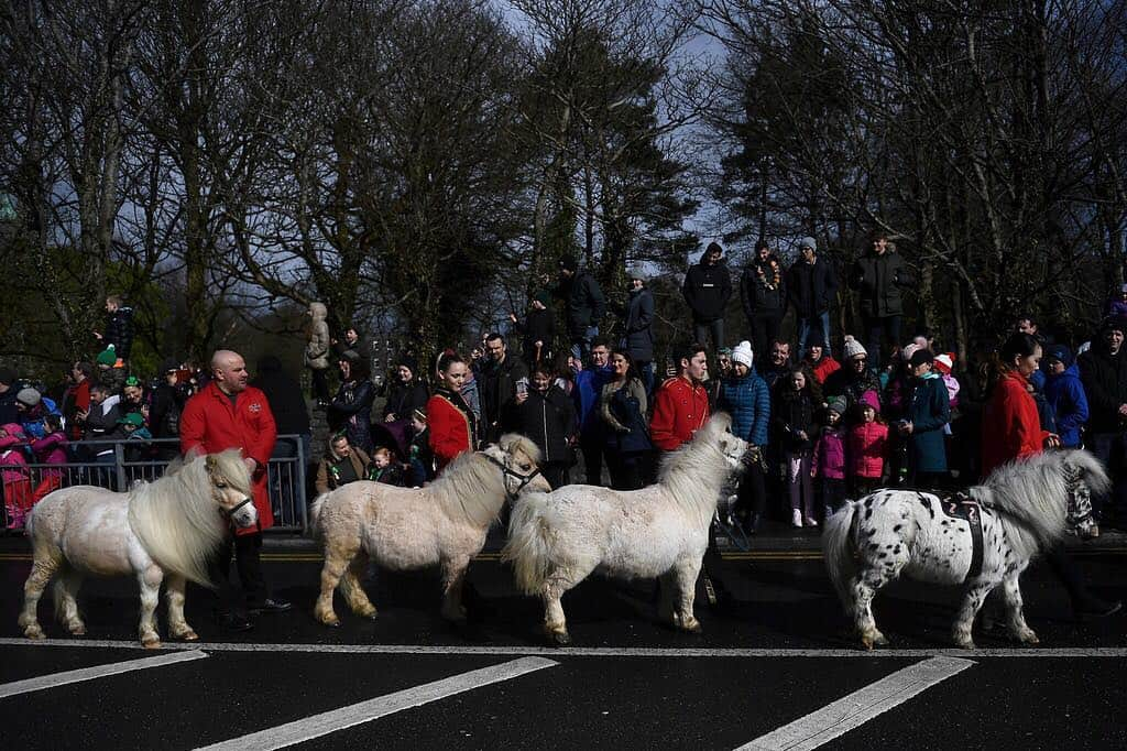 NBC Newsさんのインスタグラム写真 - (NBC NewsInstagram)「Participants walk miniature #ponies during the #StPatricksDay parade in #Galway, #Ireland. . 📷 Clodagh Kilcoyne / @reuters」3月18日 0時46分 - nbcnews